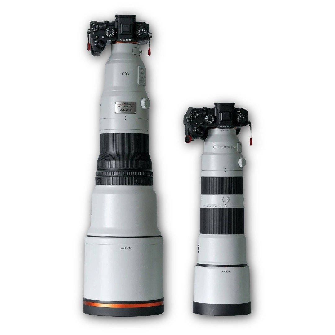 Wildlife Photography: The Camera