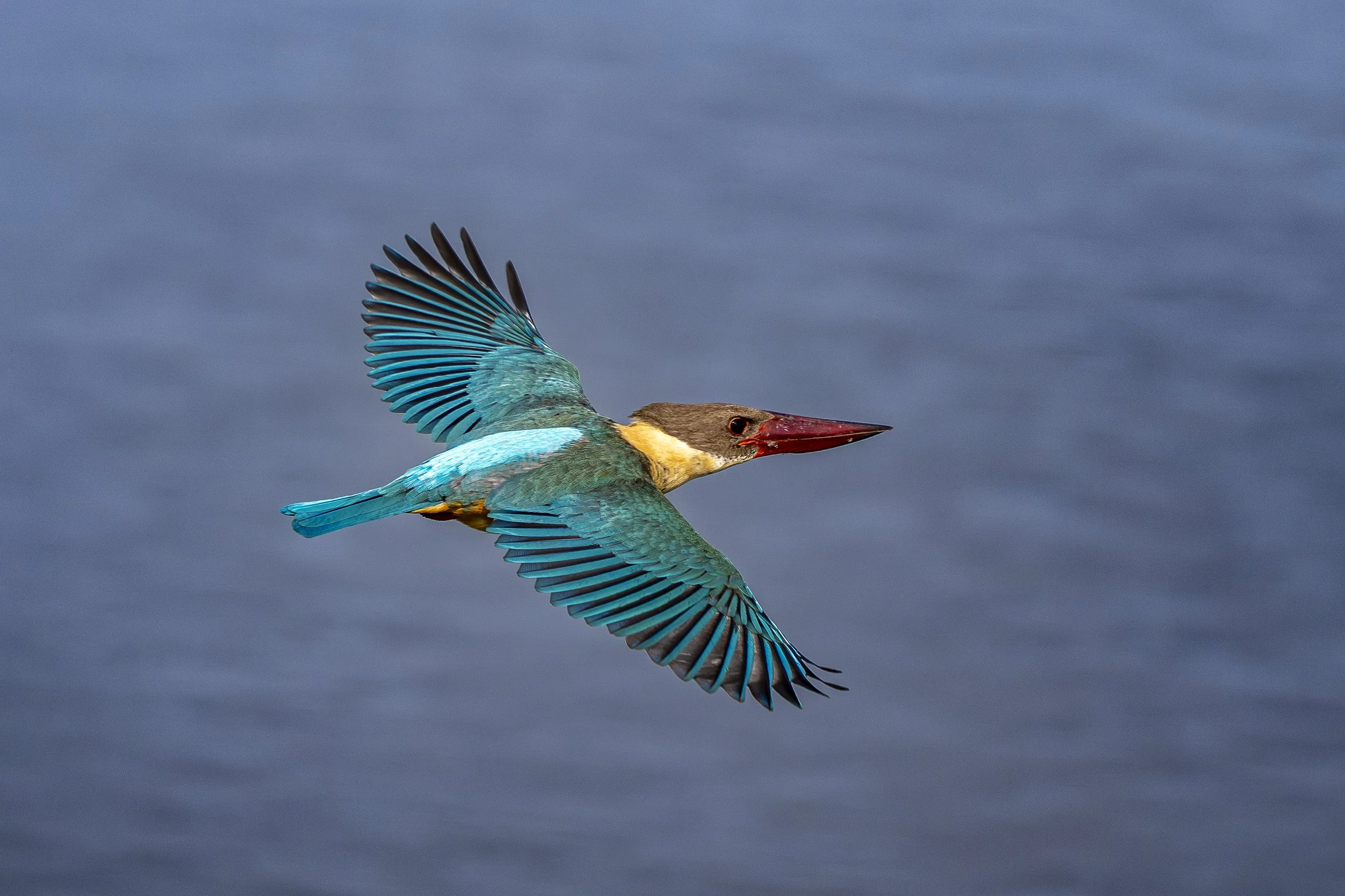 AZ9_2021-2.jpg