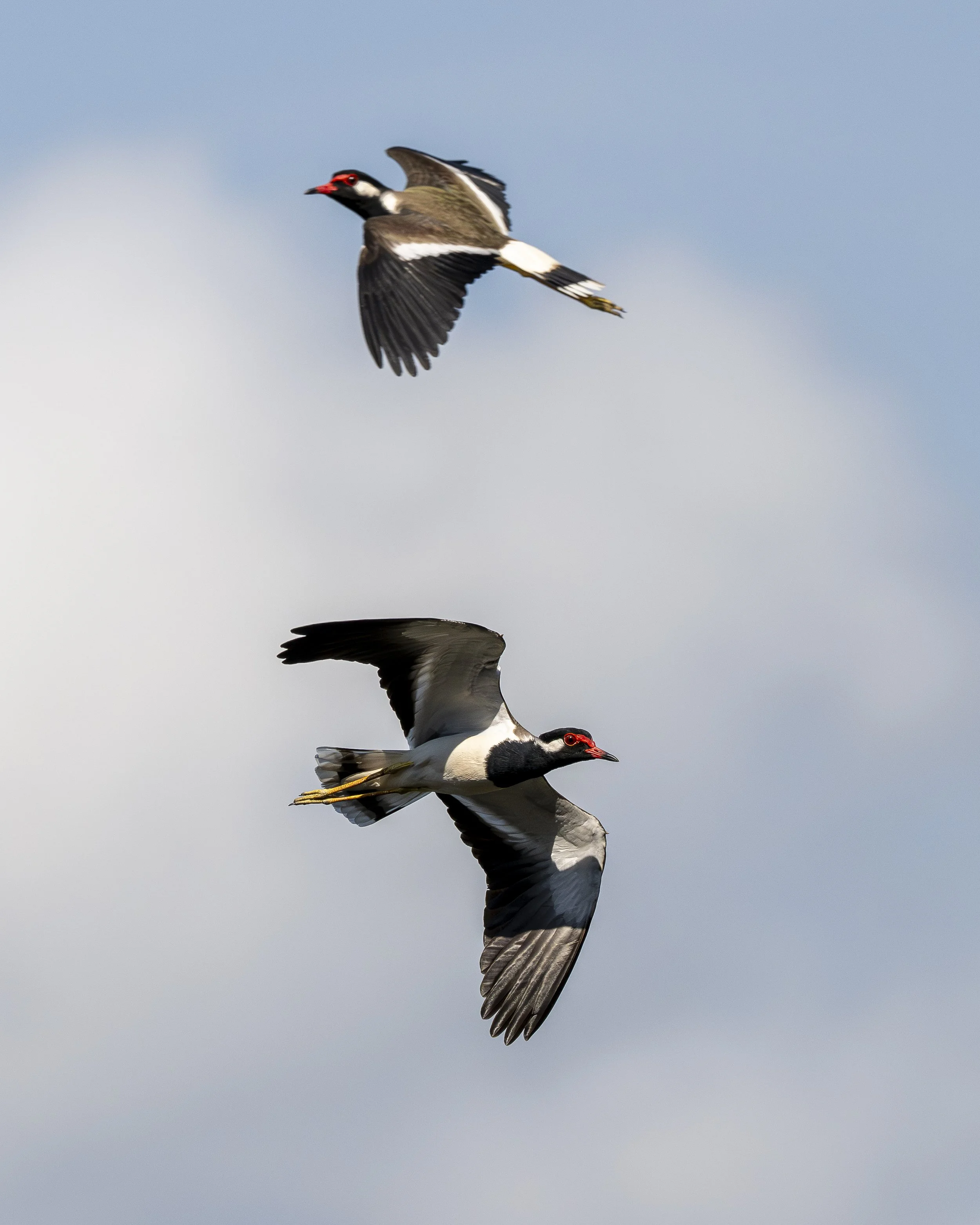 AZ9_2469-2.jpg