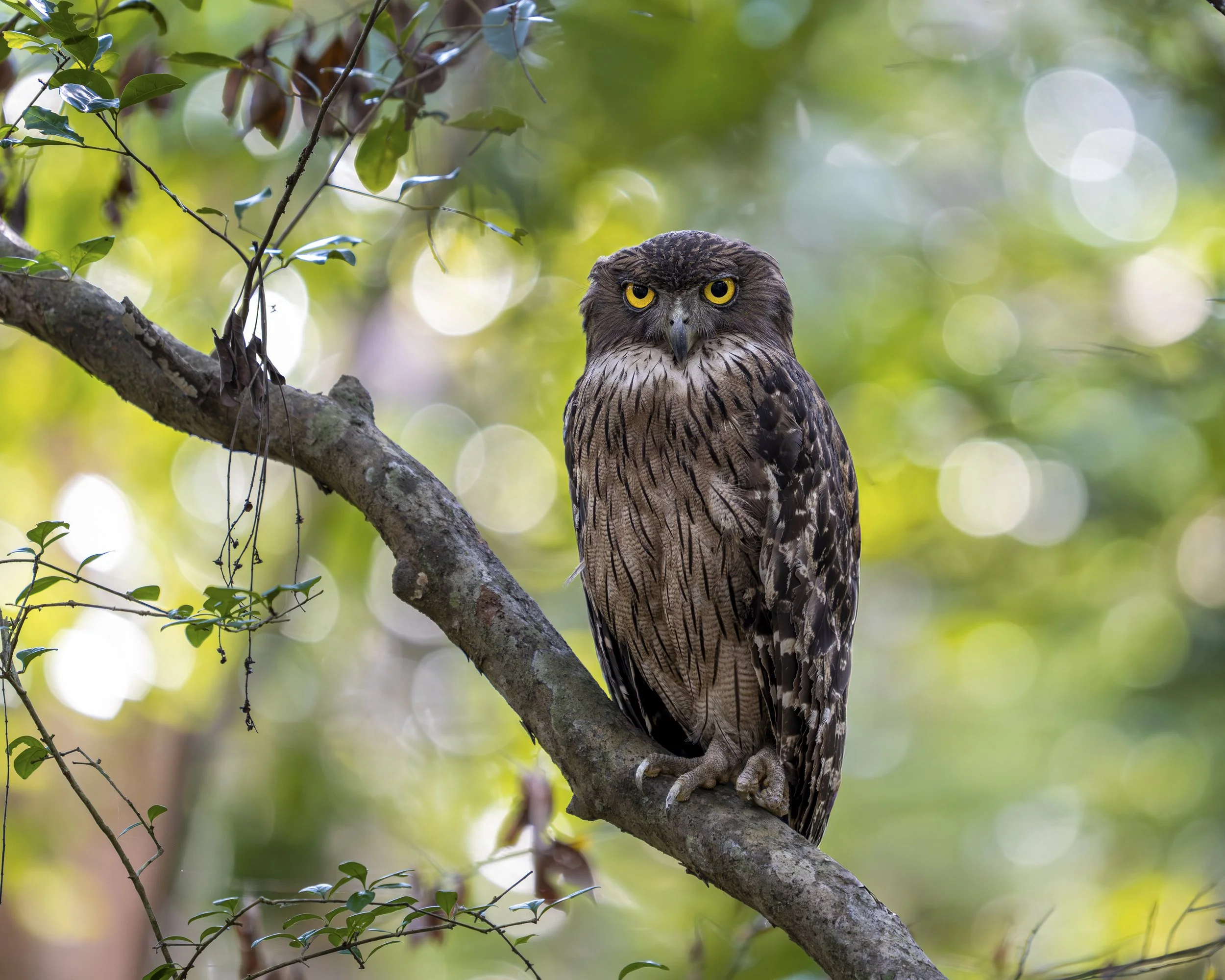 AZ9_2460-Bearbeitet-2.jpg