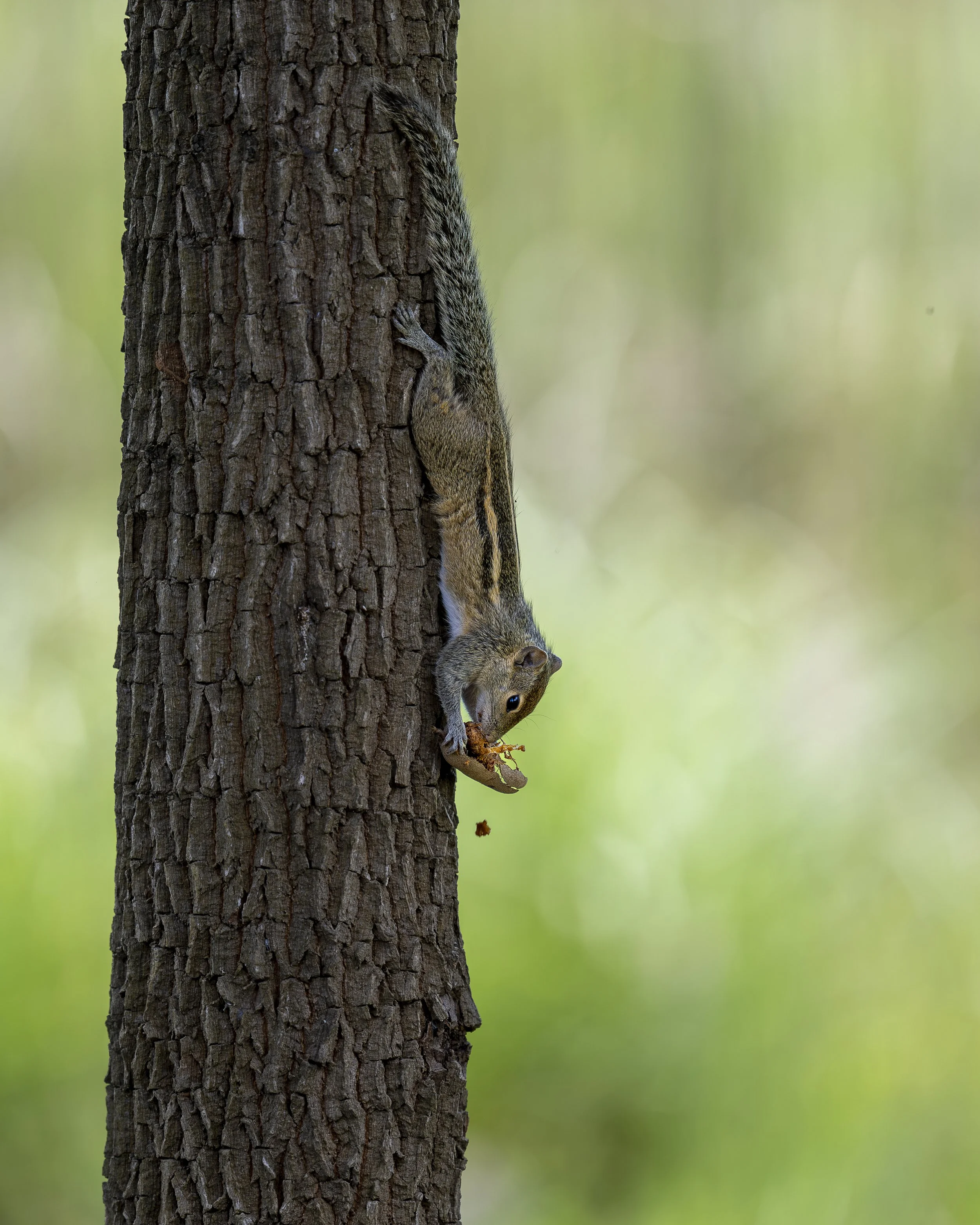 AZ9_4941-3.jpg