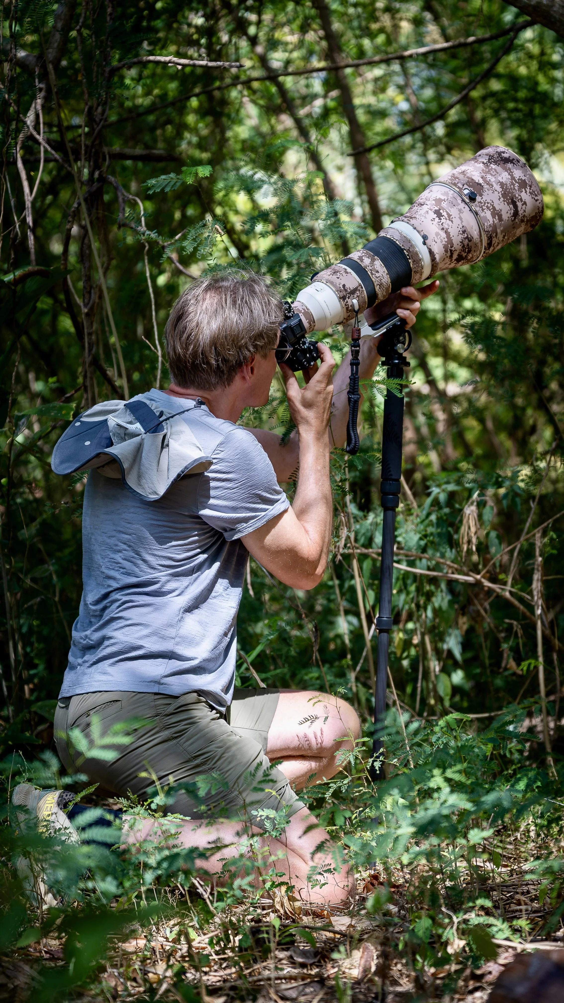 Kundenfotos Sri Lanka August 2026 - Das hätten auch deine Bilder sein können 