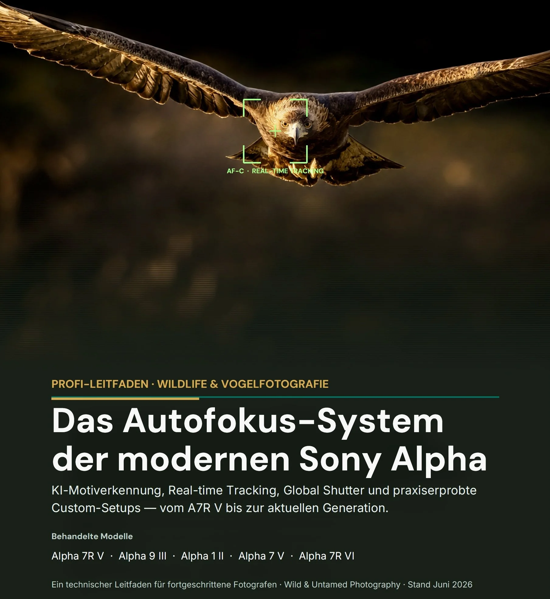 NEW E-Book:  SONY Alpha Kameras - Den modernen K.I.-Autofokus verstehen