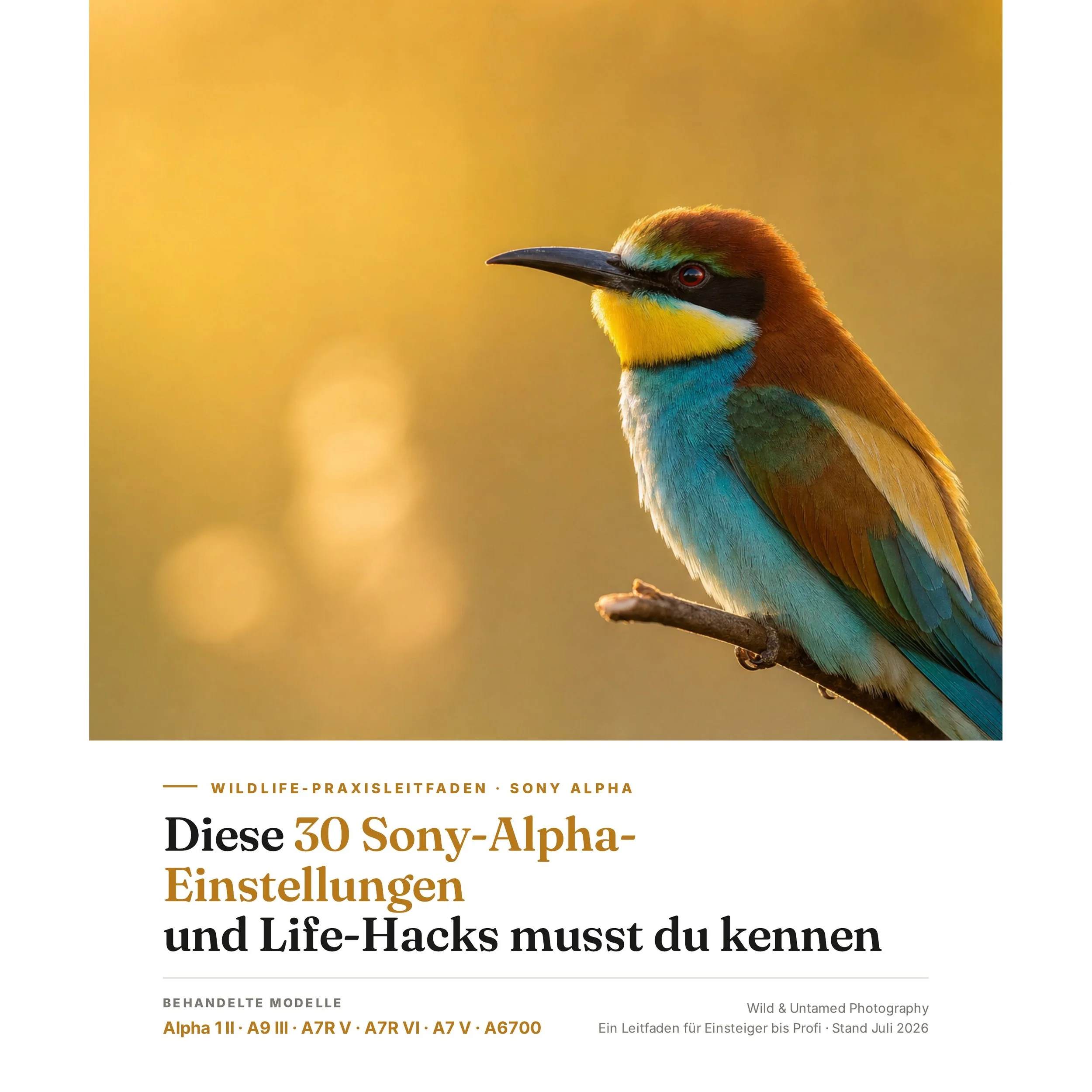 Cover_1x1.jpg