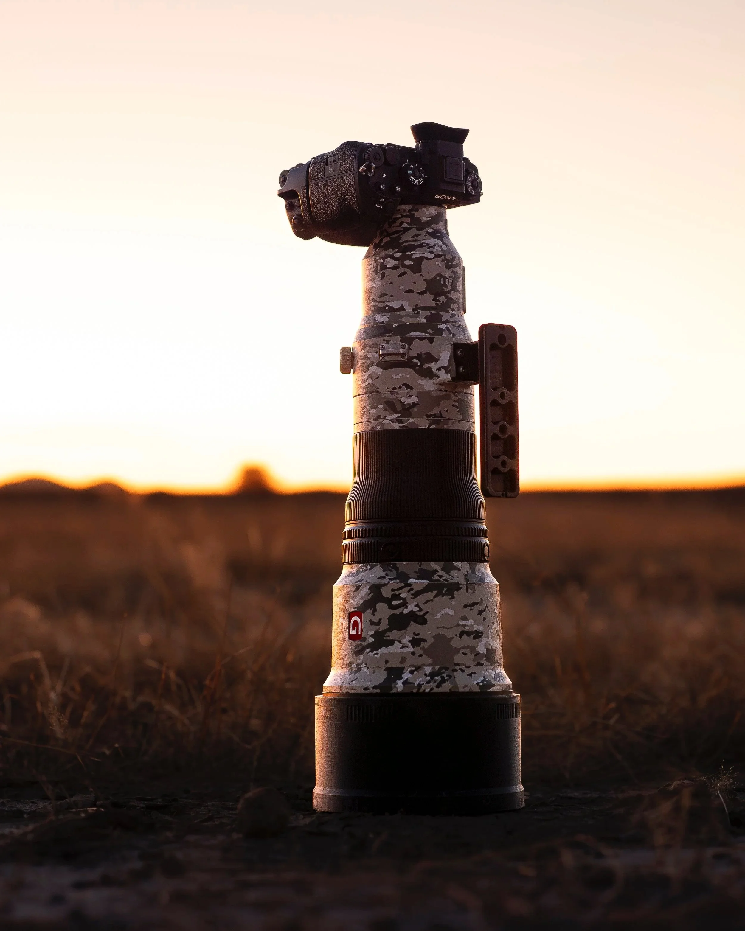 SONY+A1II_600GM_01Hoch_Zambia_A9III_50150GM.jpg (Kopie)