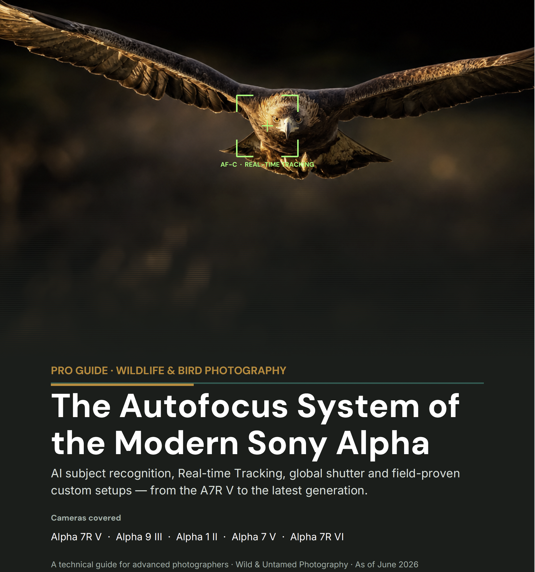 NEW E-Book:  SONY Alpha Autofocus Masterclass