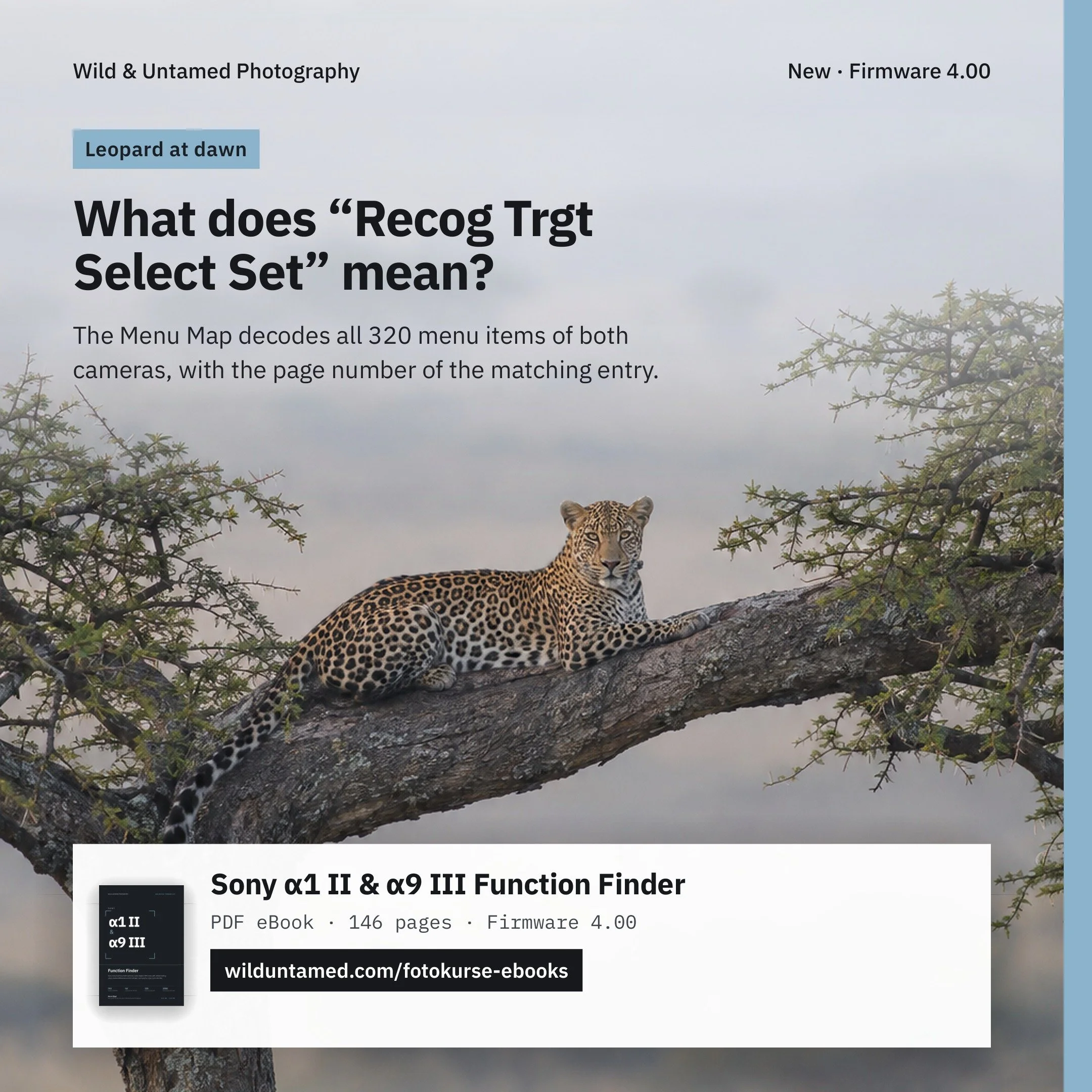 a1II_a9III_EN_Meta_Leopard_1x1.jpg
