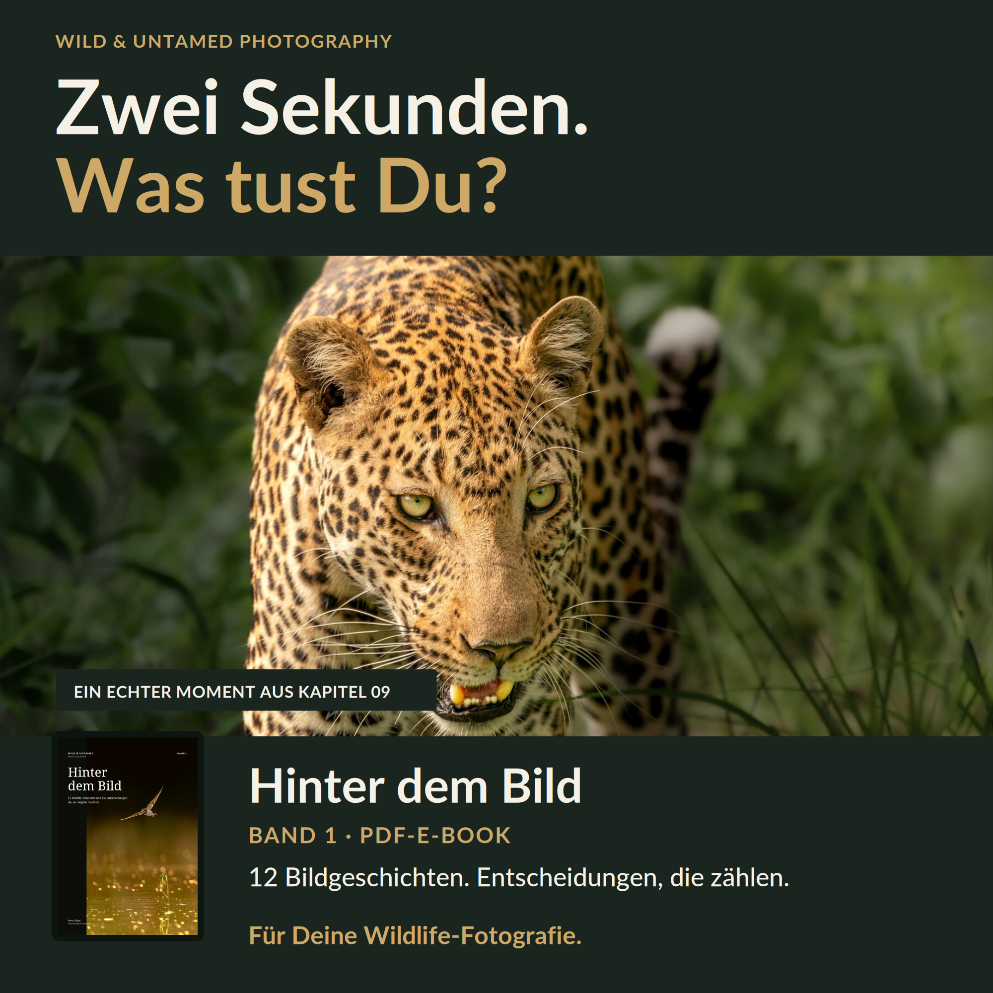 B_Zwei_Sekunden_Squarespace_1x1.png
