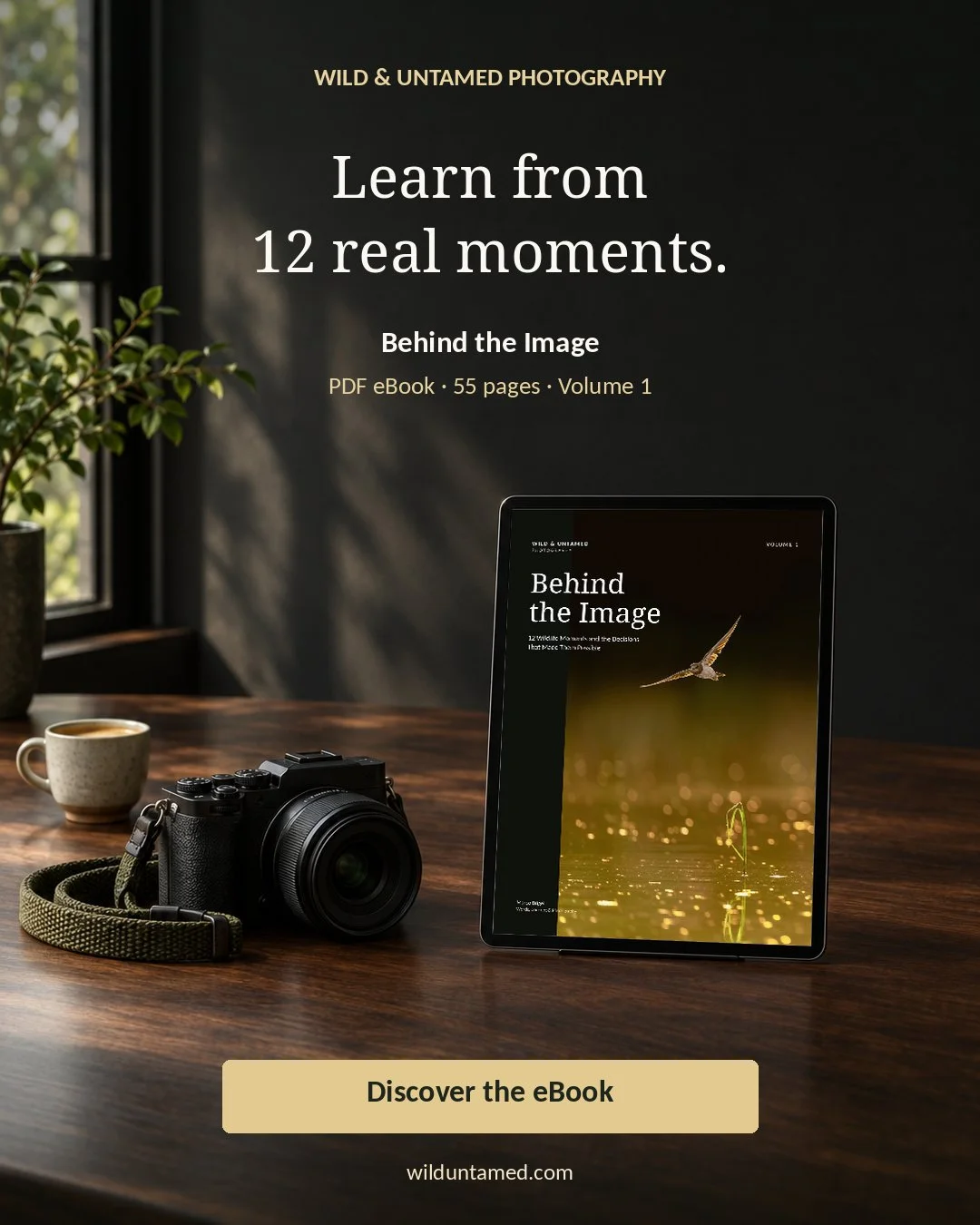 EN-Meta-Ad-02-Fotografie-4x5.jpg