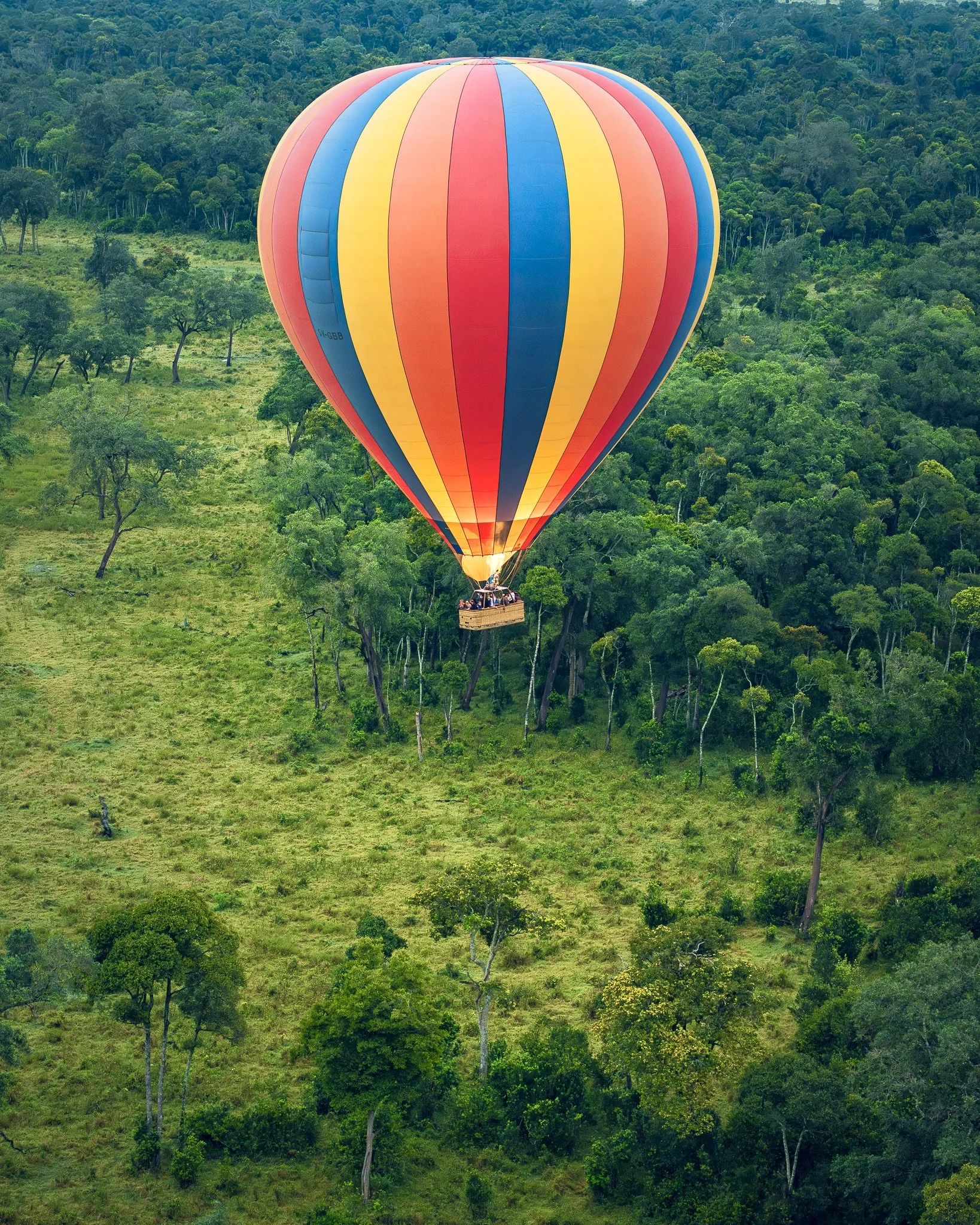 Ballooning_Mara.jpg