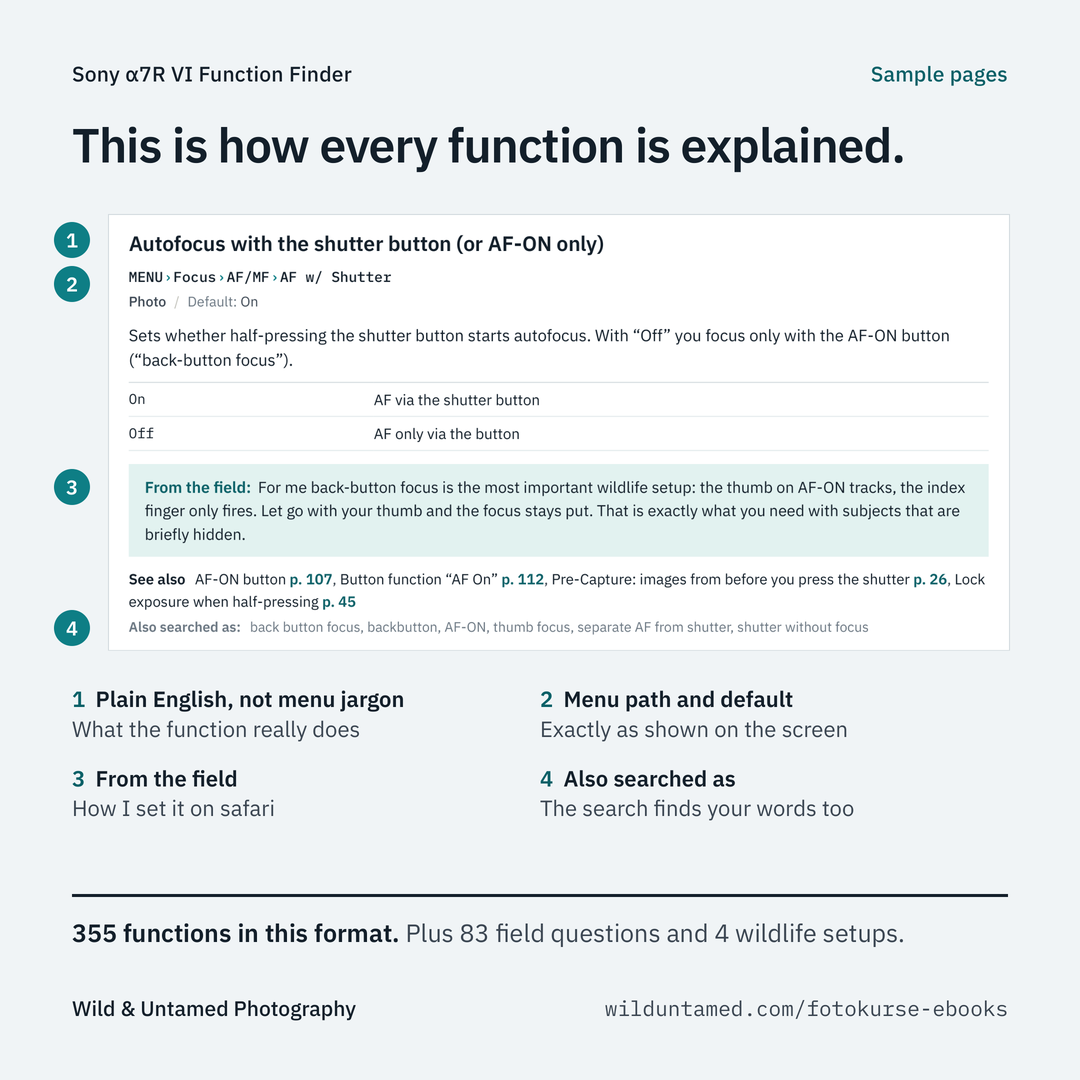 a7RVI_EN_Ad_4_Sample.png