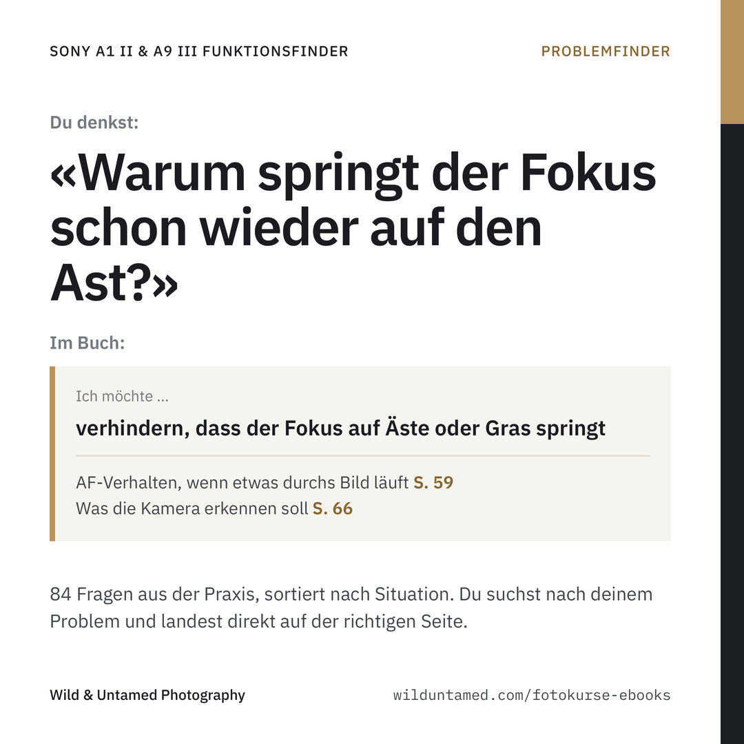 a1II_a9III_Werbebild_2_Problemfinder.png