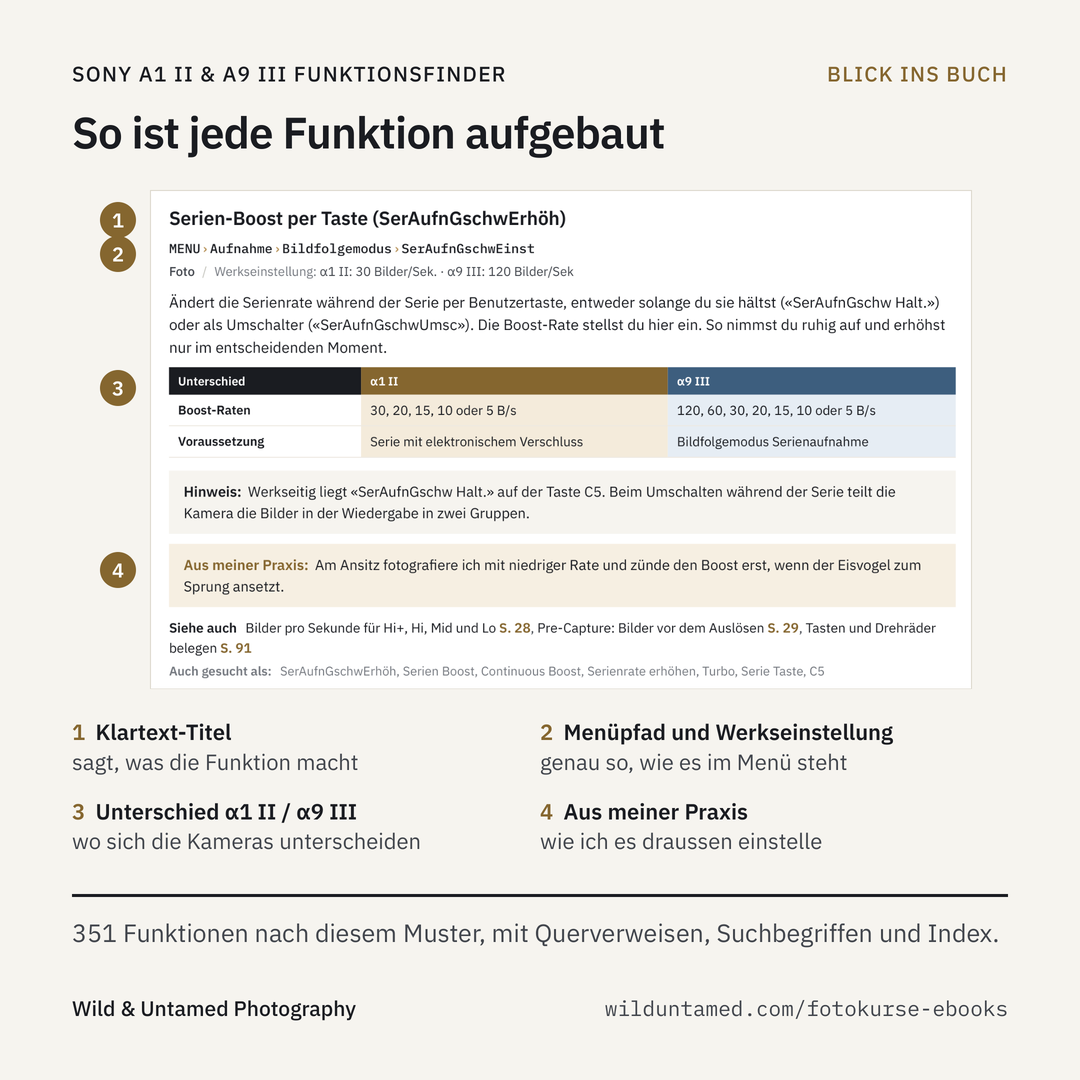 a1II_a9III_Werbebild_4_Leseprobe.png