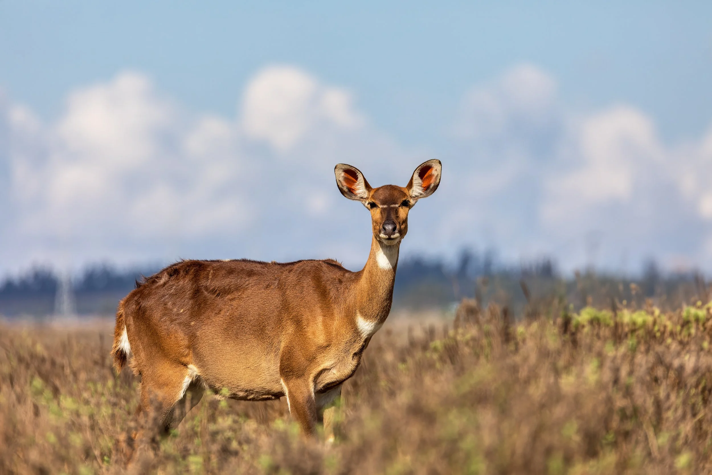AdobeStock_750722695.jpeg