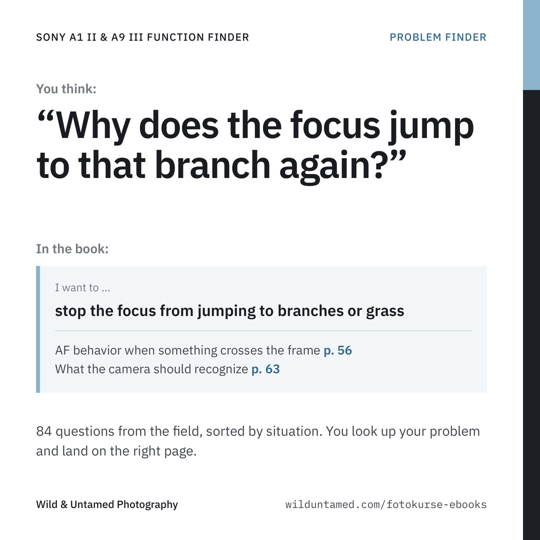 a1II_a9III_EN_Ad_2_ProblemFinder.png