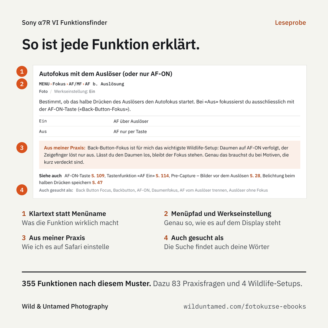 a7RVI_Werbebild_4_Leseprobe.png