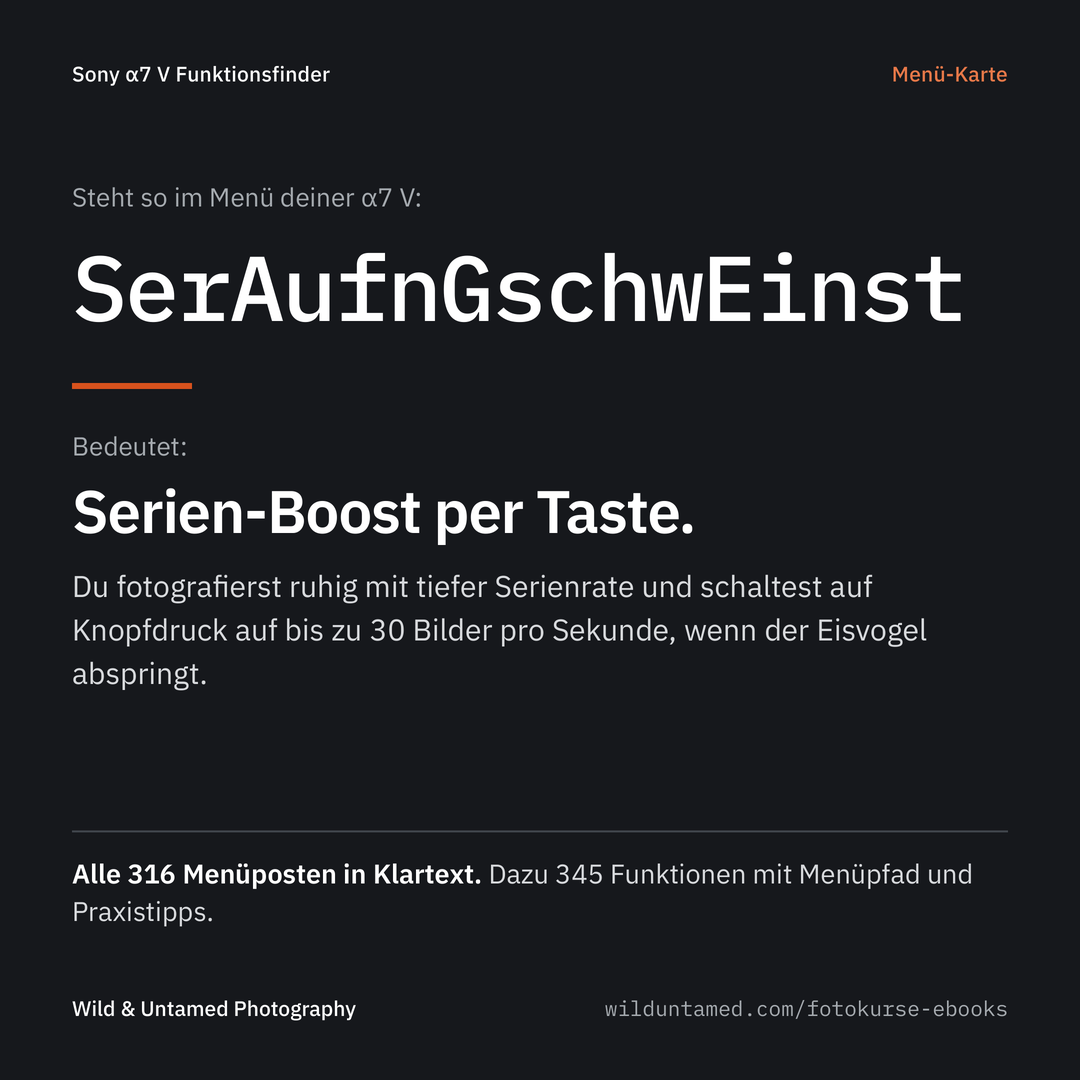 a7V_Werbebild_3_Menuekarte.png
