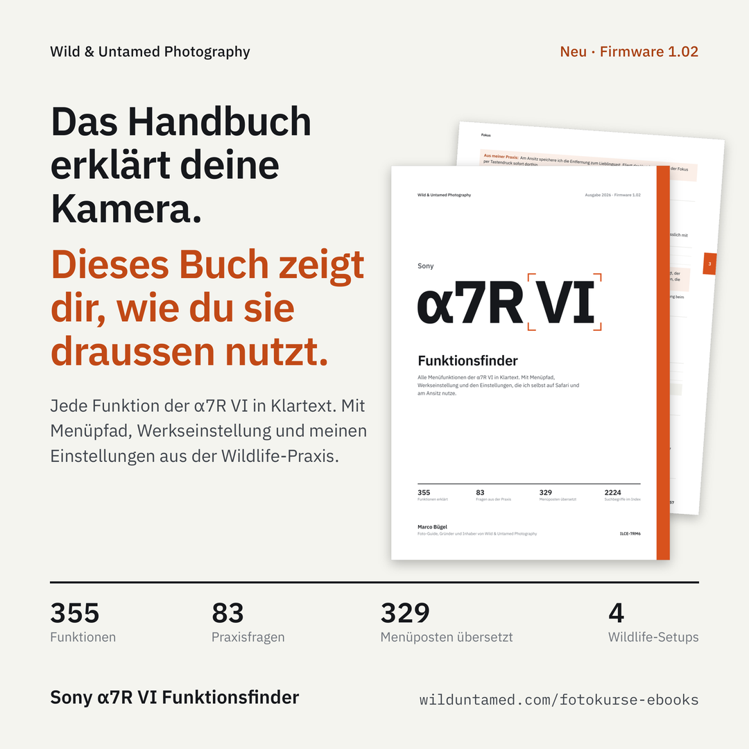 a7RVI_Werbebild_1_Handbuch.png