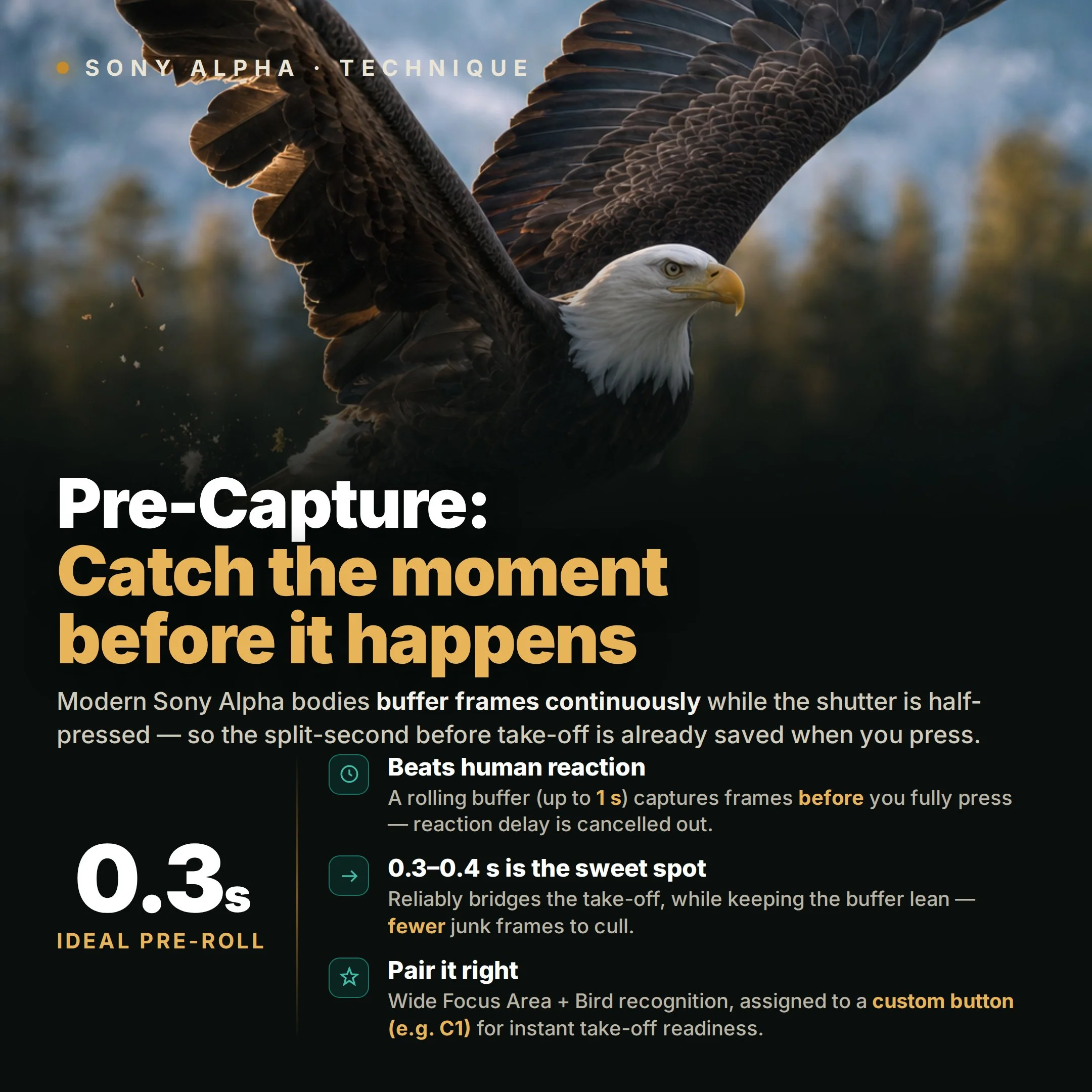 NEW E-Book:  SONY Alpha PreCapture - Capture the moment before it happens