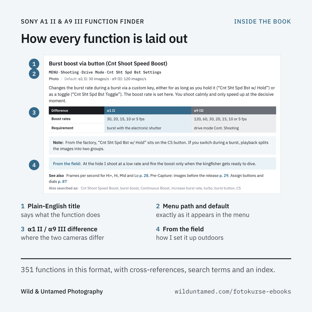 a1II_a9III_EN_Ad_4_Sample.png