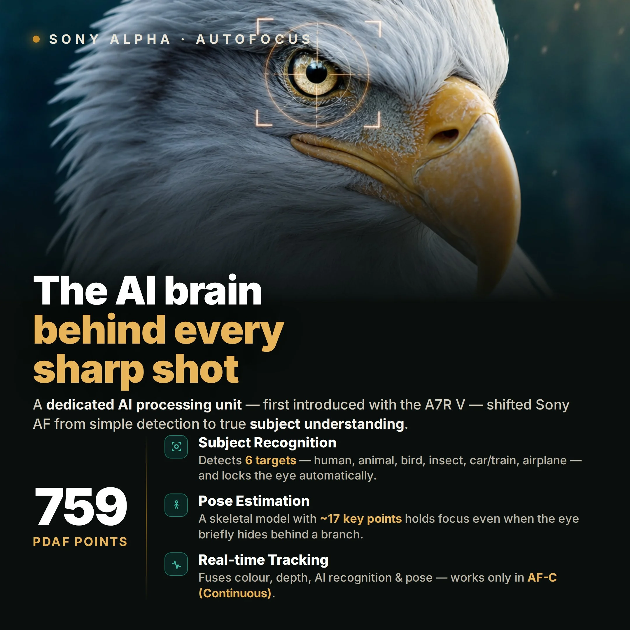 Sony-AF_1x1.jpg