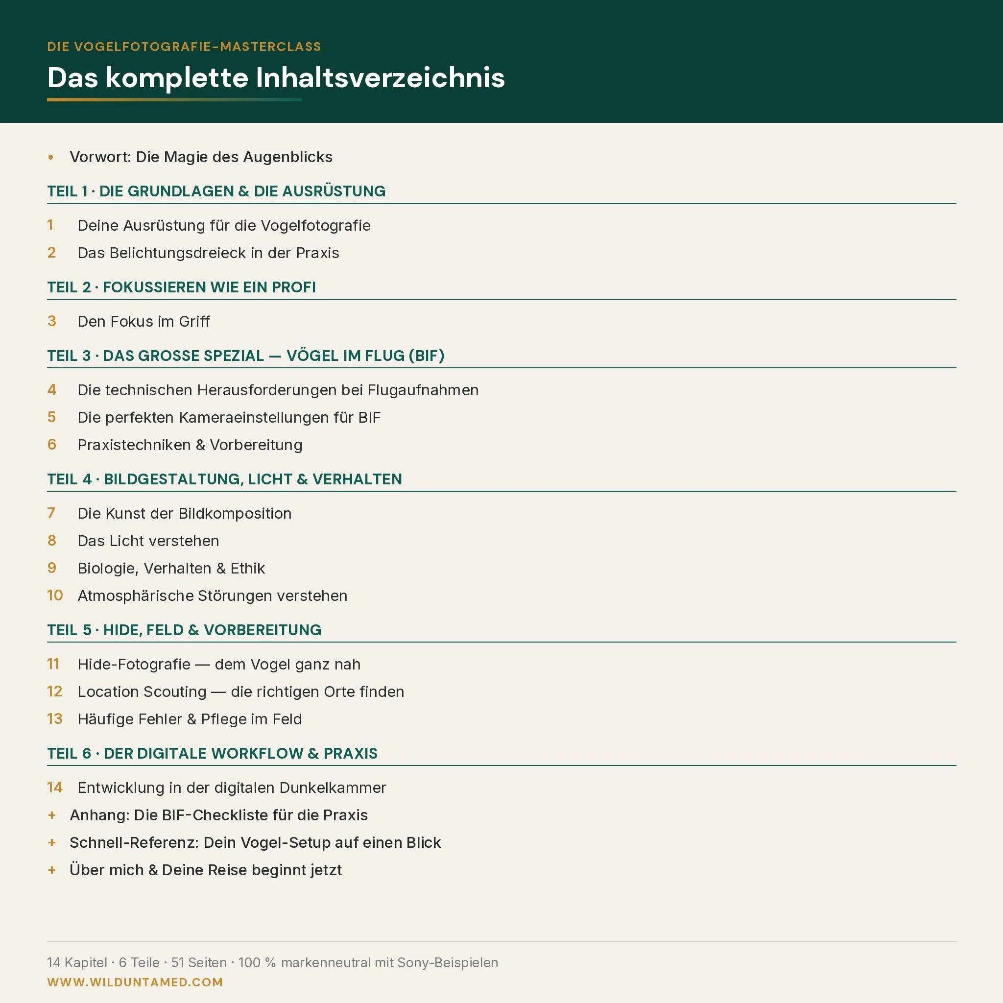 Vogelfotografie-Masterclass_Inhalt_1x1.jpg