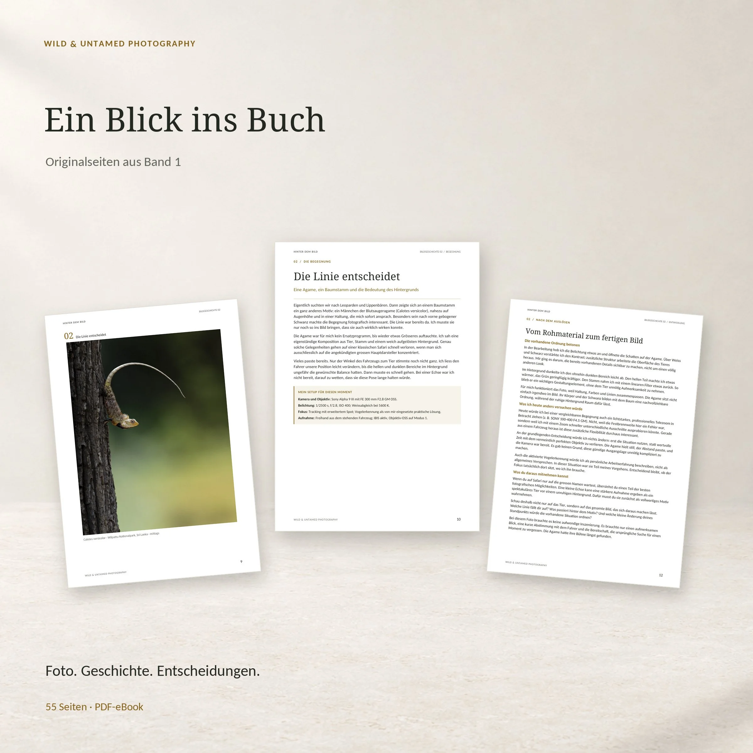 DE-02-Webshop-Inhalt.jpg