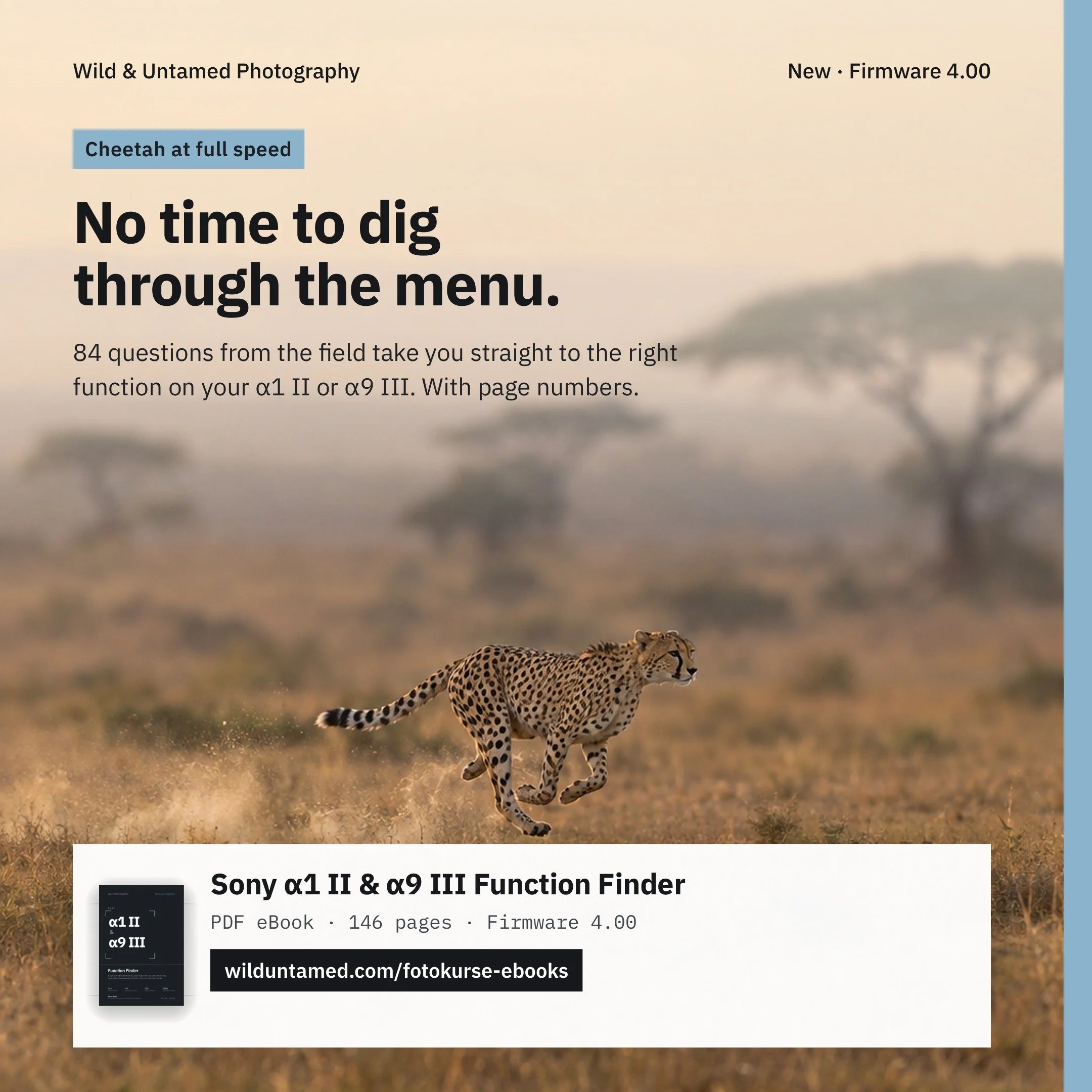 a1II_a9III_EN_Meta_Cheetah_1x1.jpg