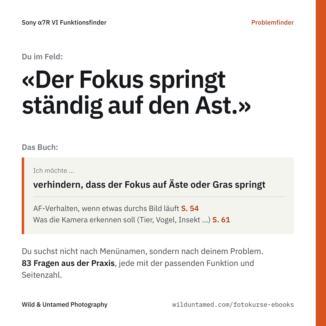 a7RVI_Werbebild_2_Problemfinder.png