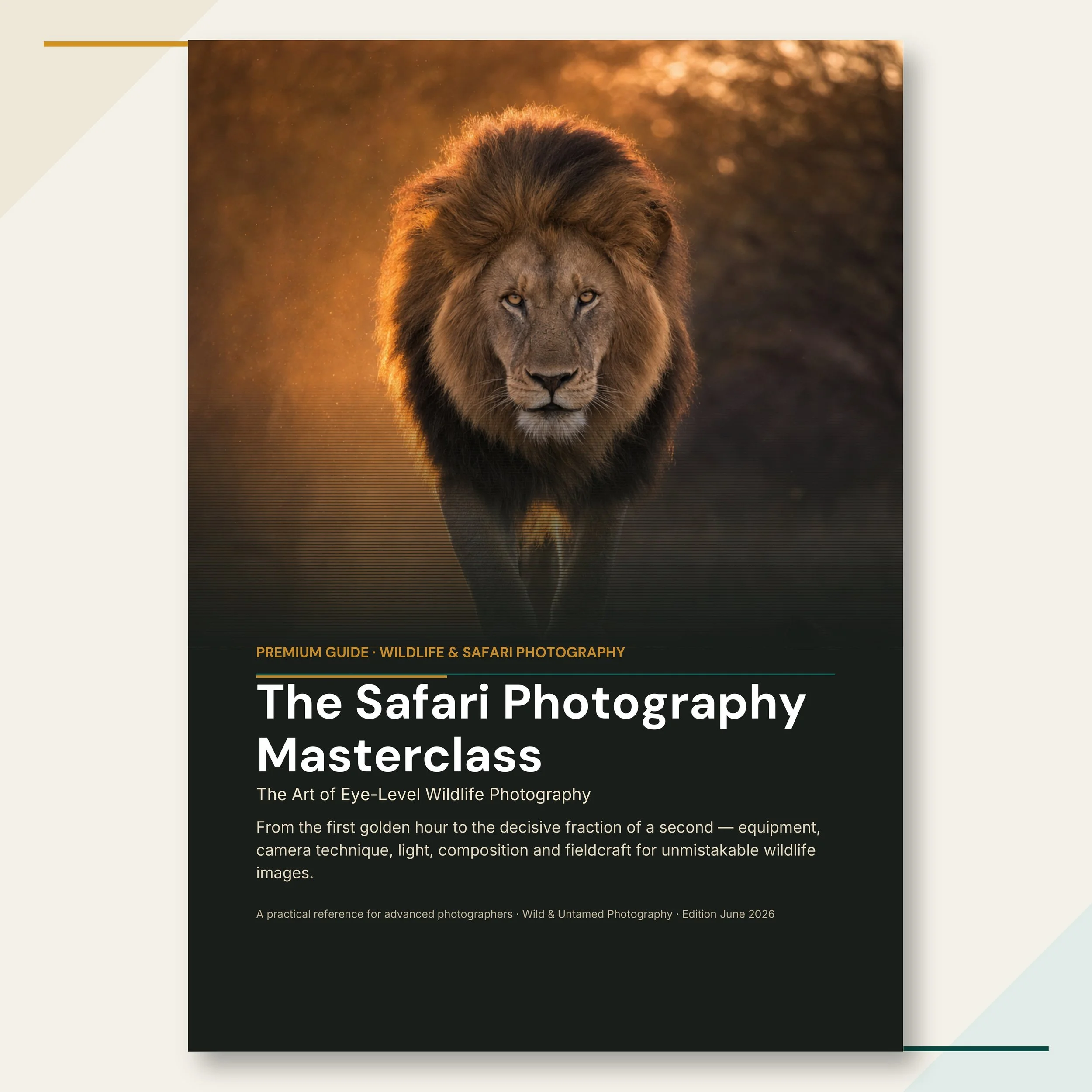 webshop_en_cover_1x1.jpg