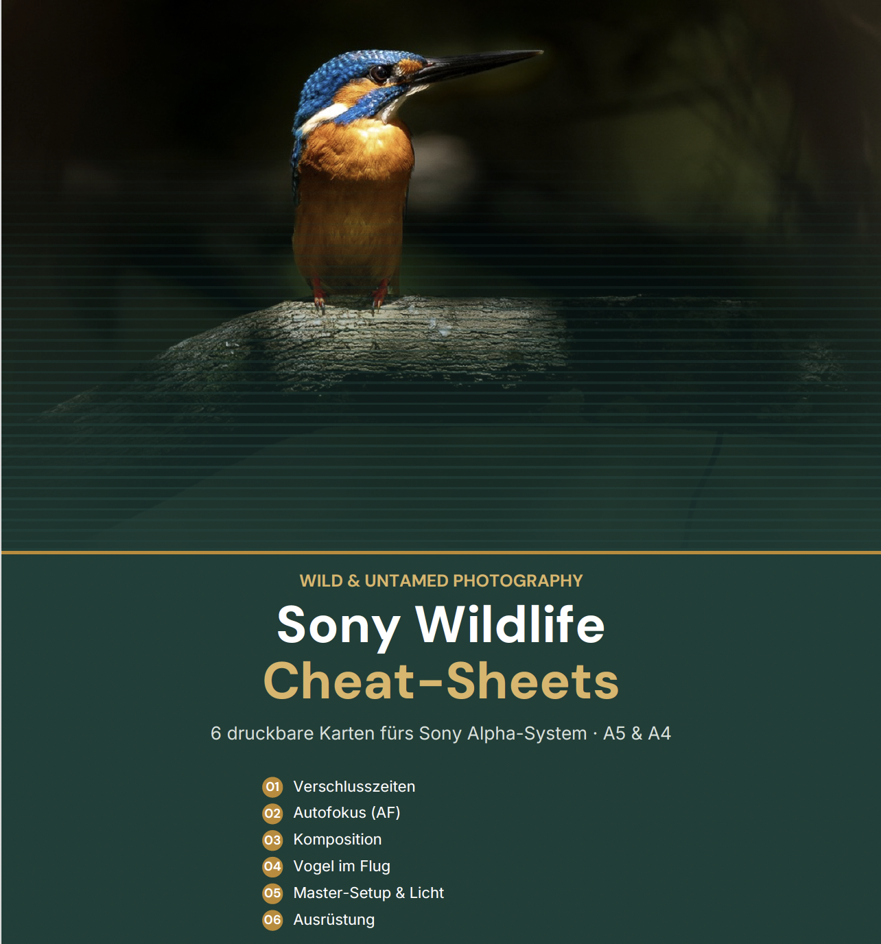 NEW:  SONY Wildlife CheatSheets