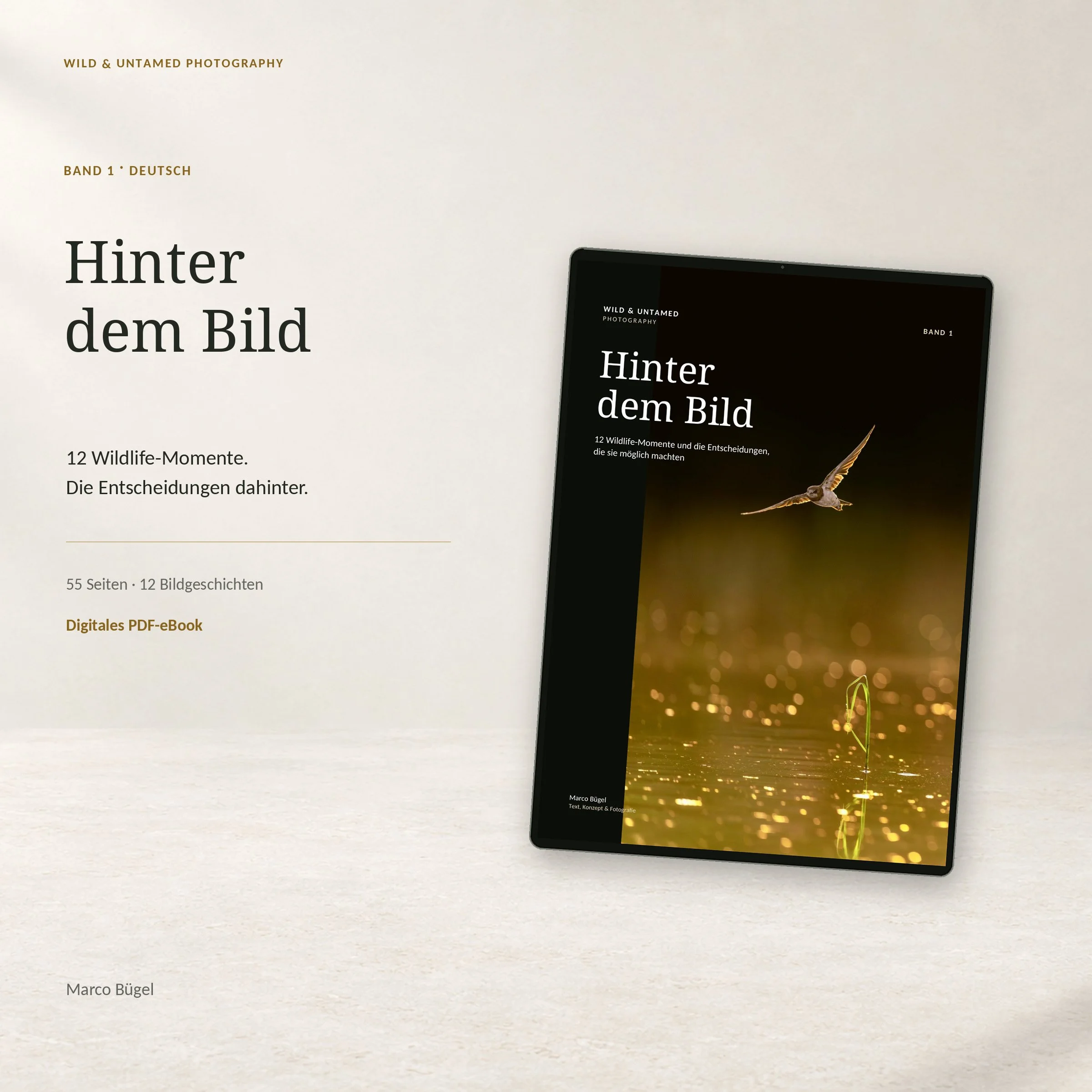 DE-01-Webshop-Cover.jpg