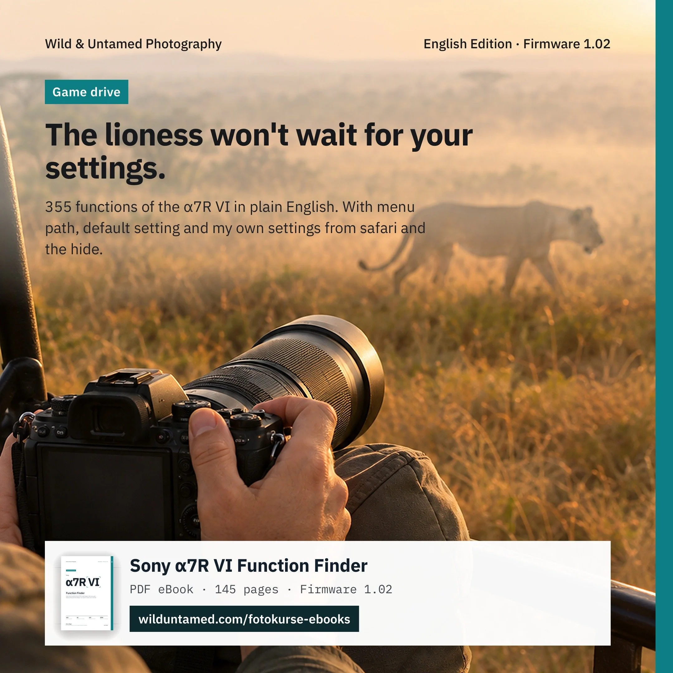 a7RVI_EN_Meta_Safari_1x1.jpg