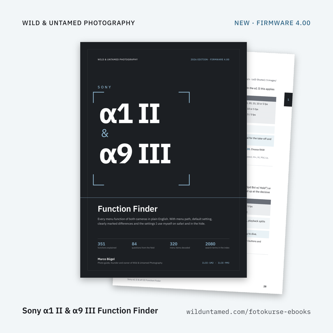 a1II_a9III_EN_Ad_5_TitlePage.png