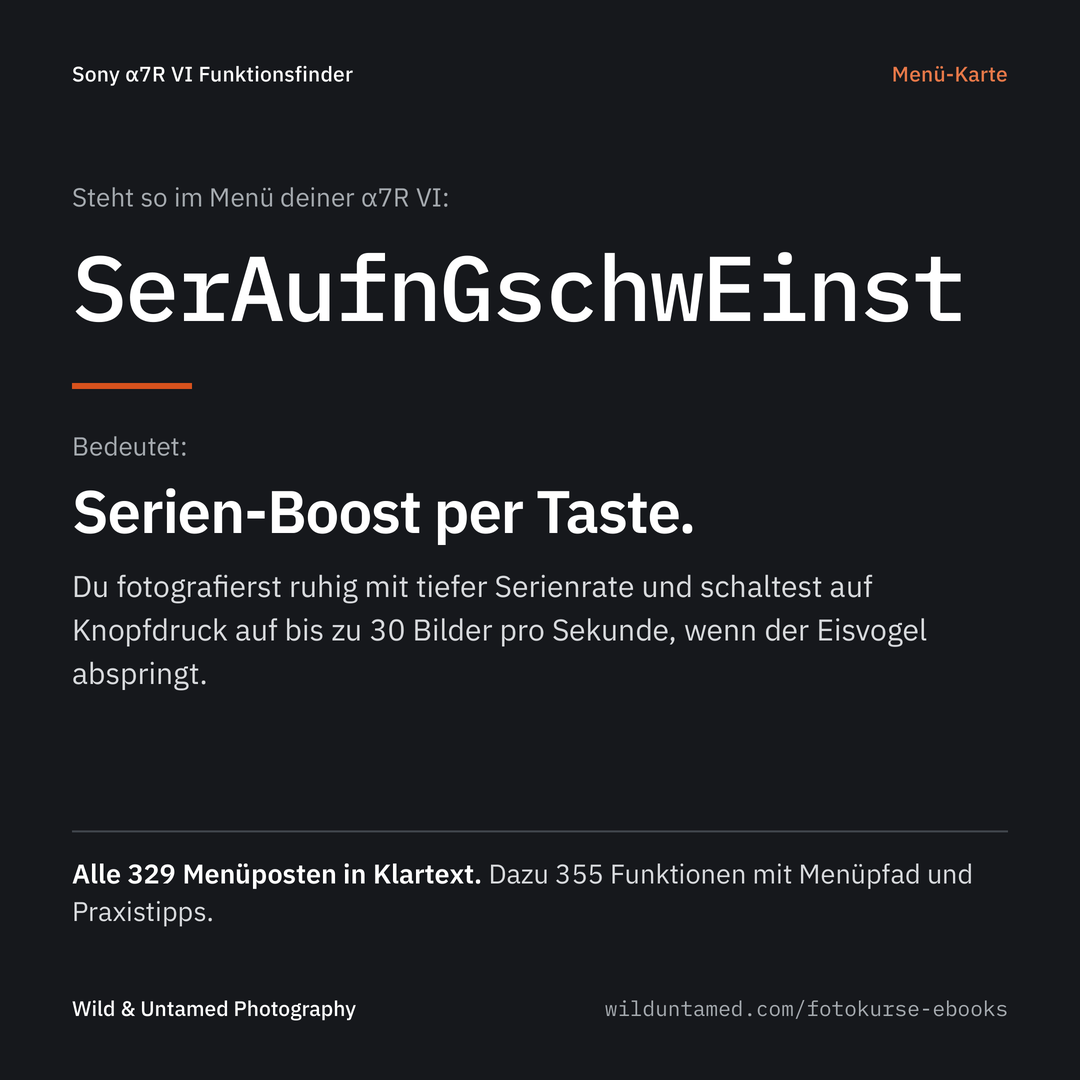 a7RVI_Werbebild_3_Menuekarte.png