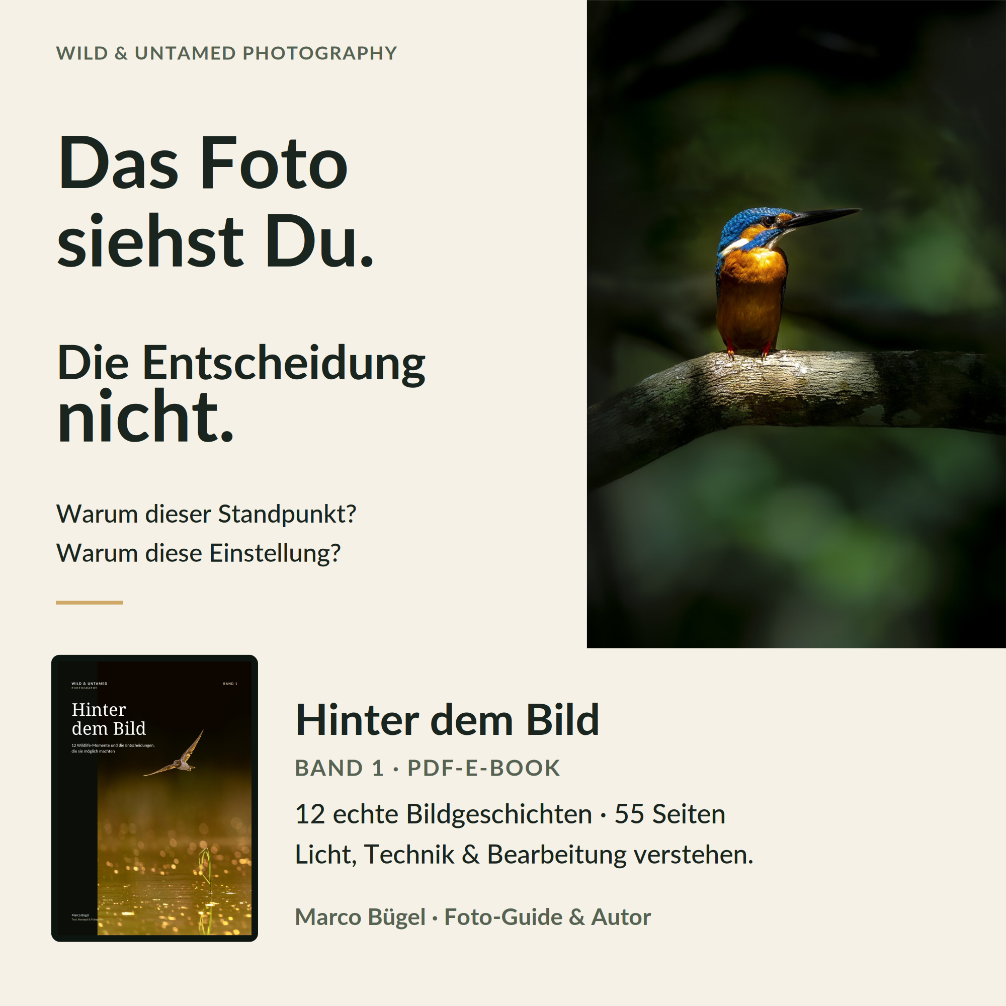 A_Entscheidung_Squarespace_1x1.png