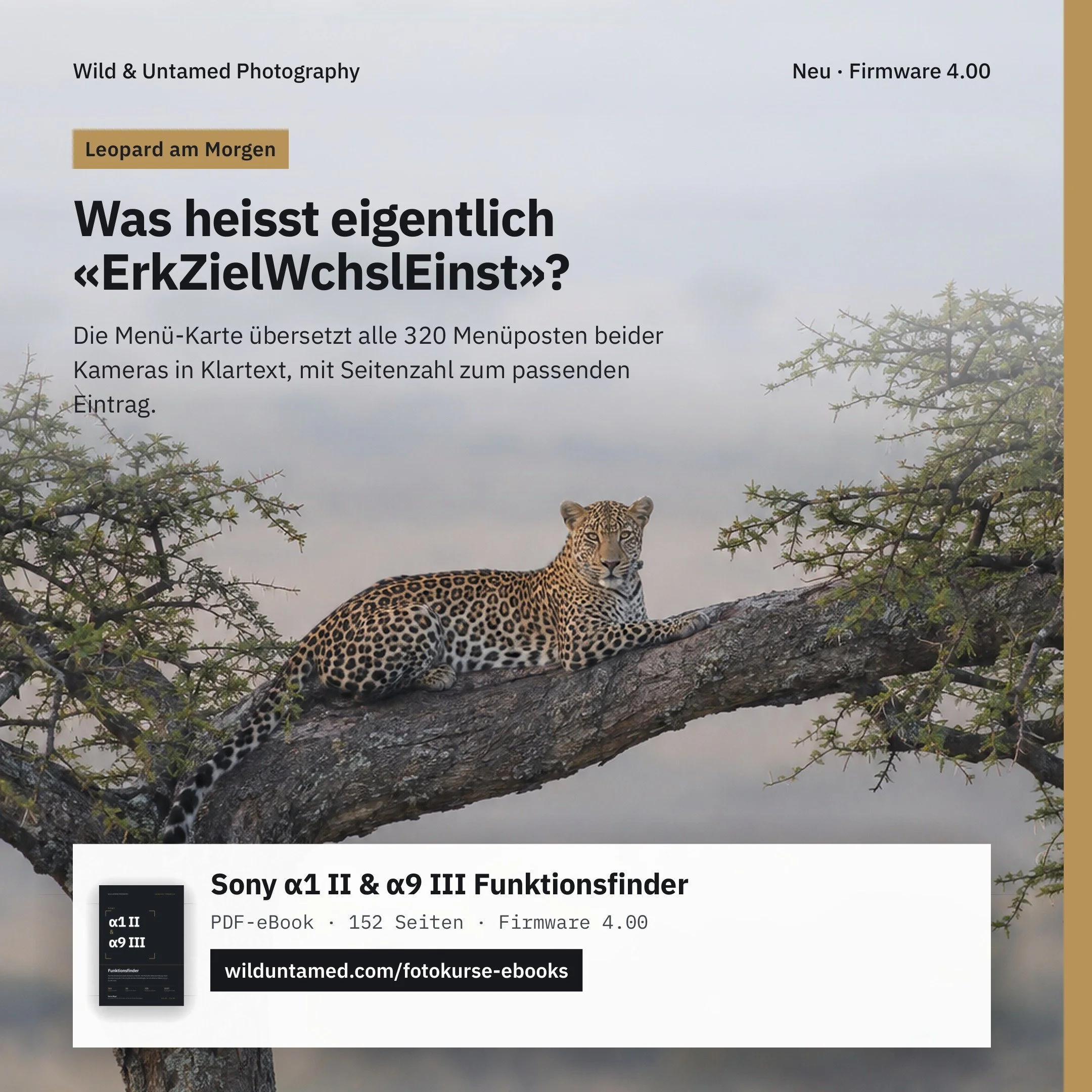 a1II_a9III_Meta_Leopard_1x1.jpg