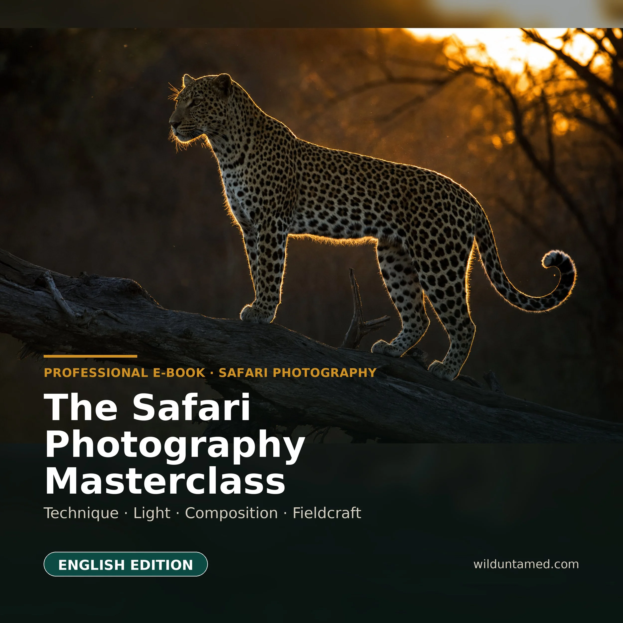 en_leopard_ebook_1x1.jpg