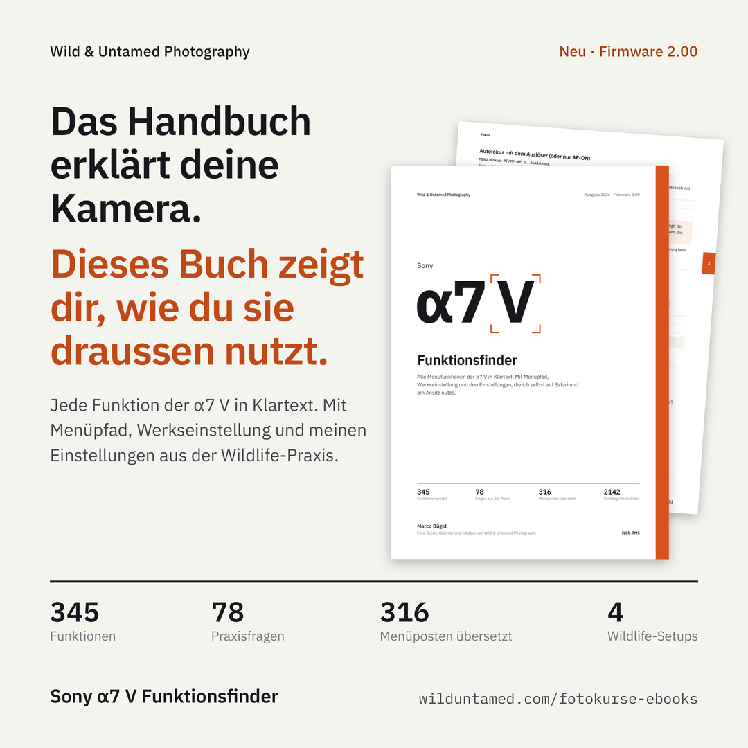 a7V_Werbebild_1_Handbuch.png