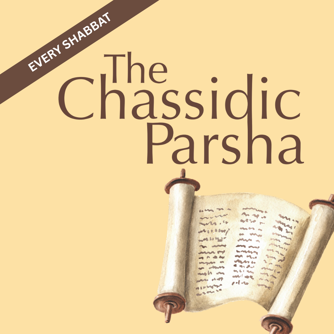 The Chassidic Parsha