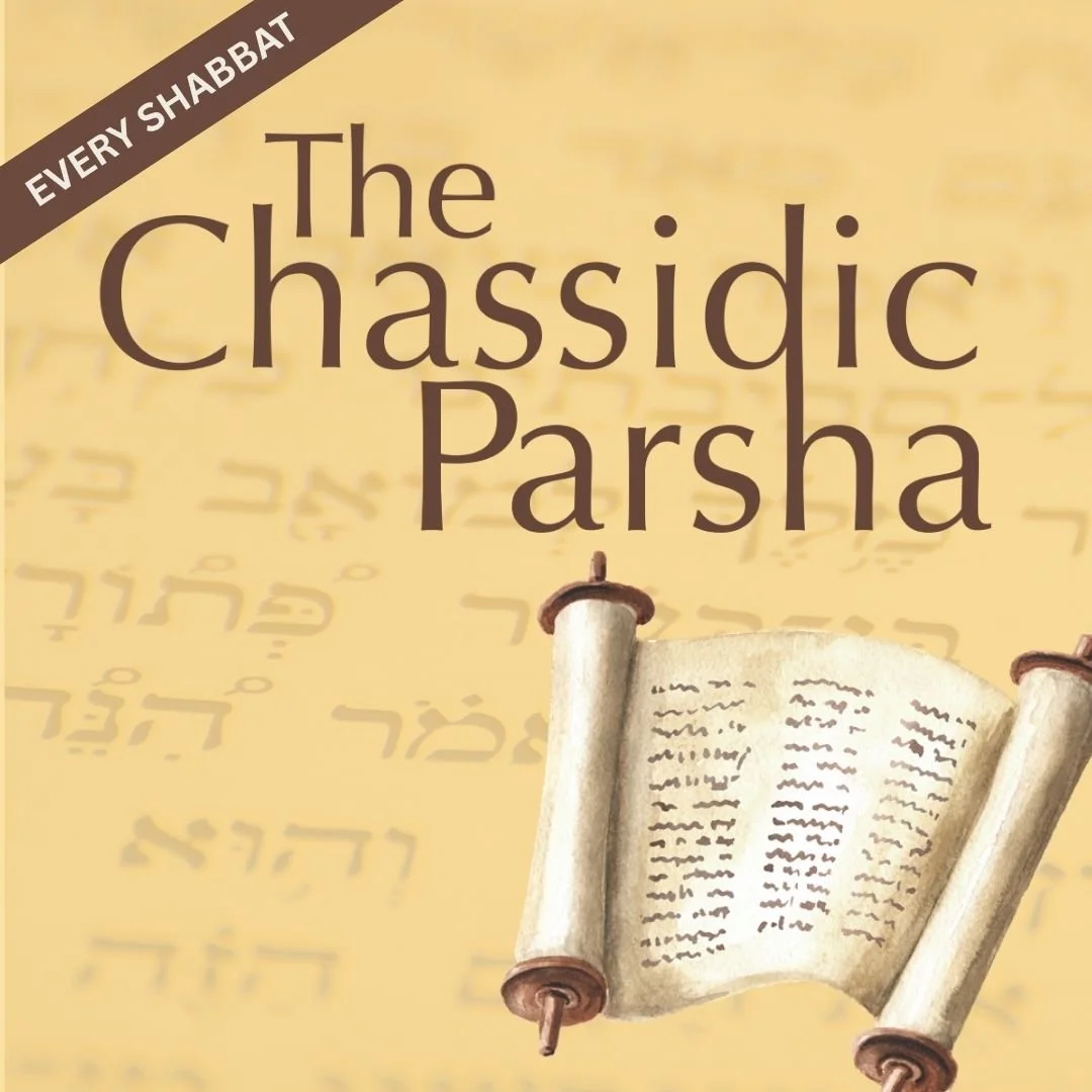 The Chassidic Parsha 