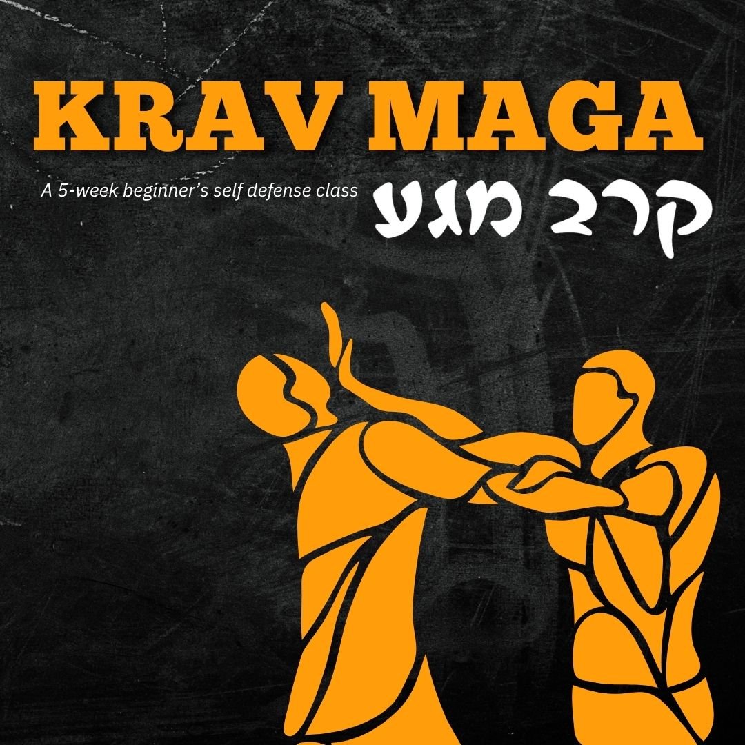 Krav Maga