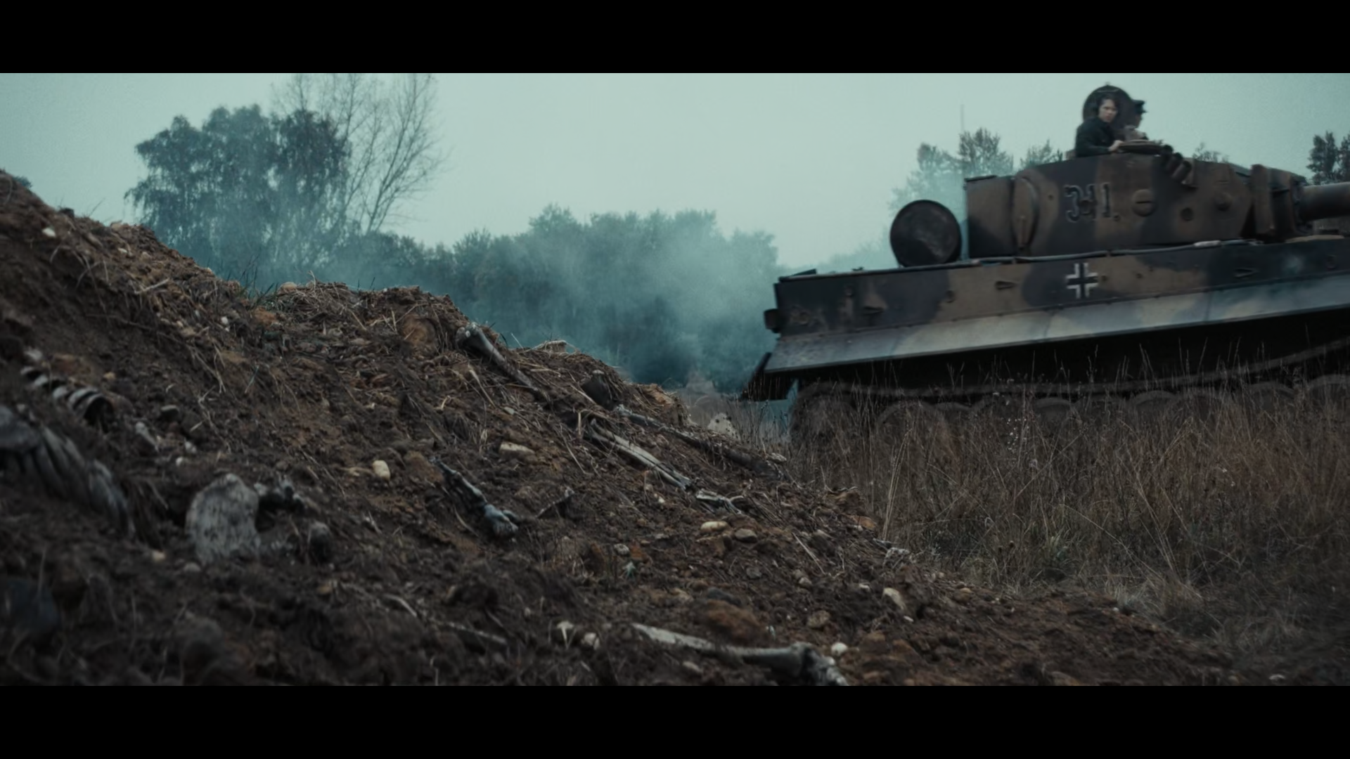 tiger_1.10.1.png