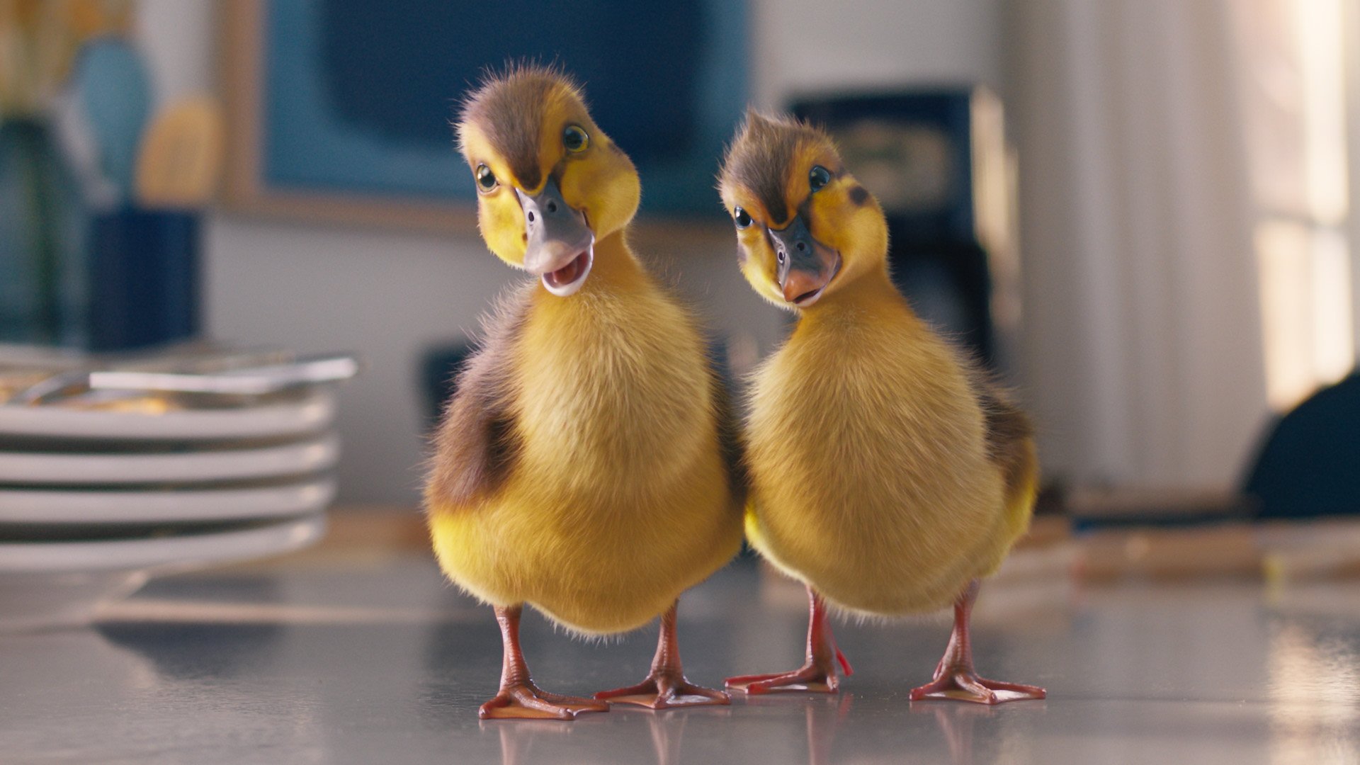 DAWN_DUCK_1.4.1.jpg