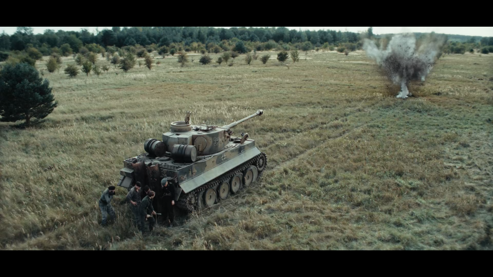 tiger_1.13.1.png