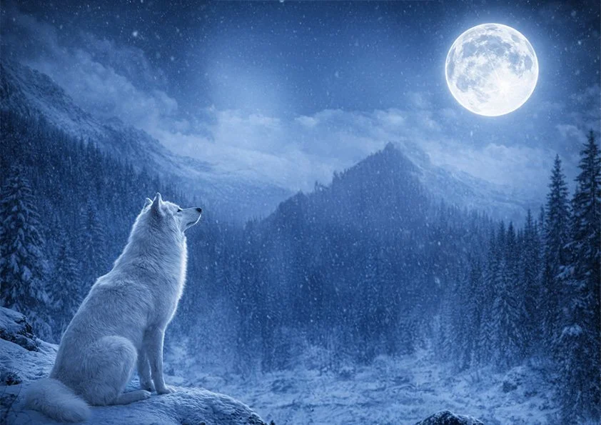 Atelier Esprit Animal : Le Loup