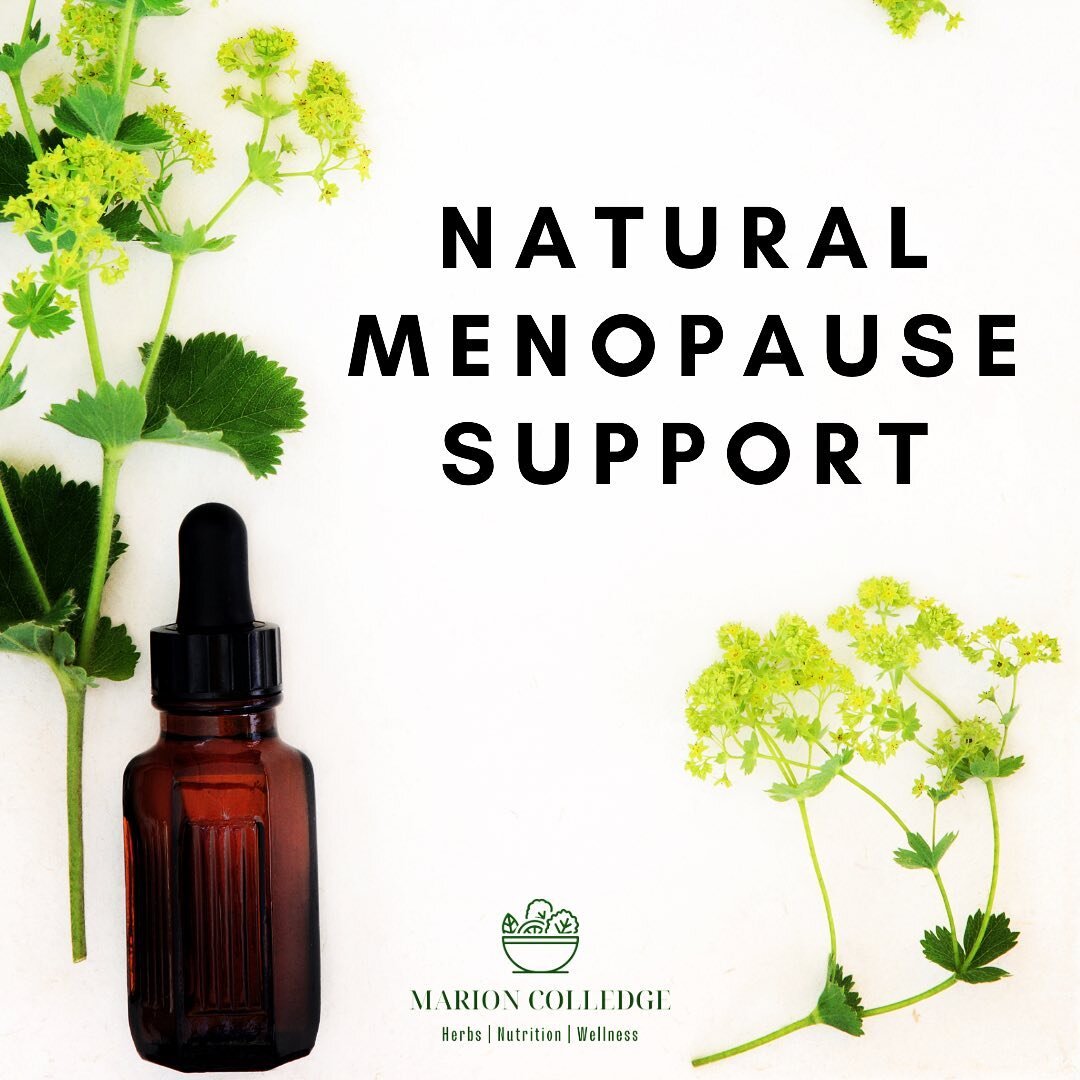 The current shortages of HRT have shone a light on the often inadequate provision of help and support available to perimenopausal and menopausal women. And whilst HRT is an important tool in helping to deal with declining oestrogen and progesterone l