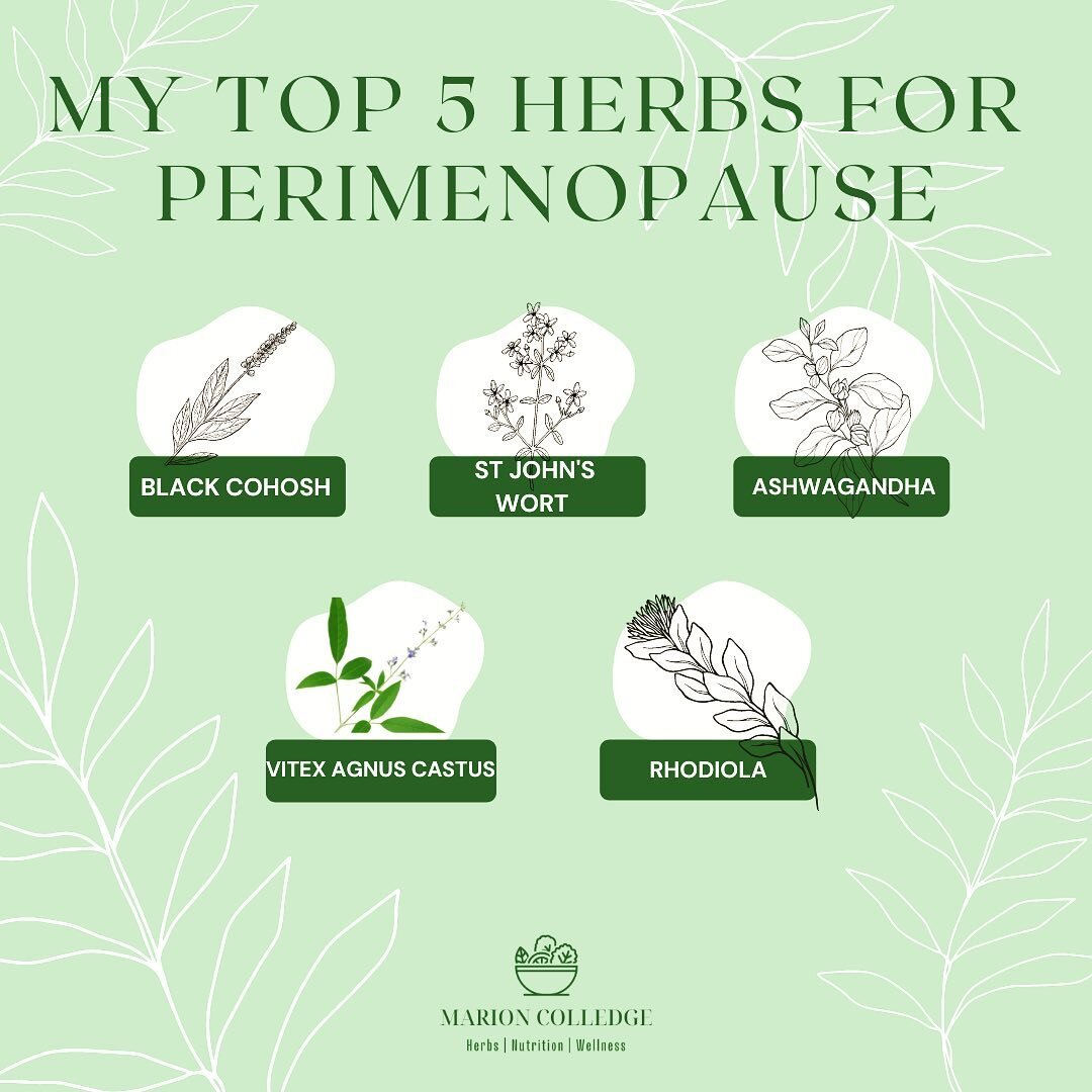 As promised in my last post, here are my favourite herbs to prescribe for women with perimenopausal symptoms.

🌱Black Cohosh and St John&rsquo;s Wort have been shown to work particularly well together to help relieve a whole range of symptoms like h
