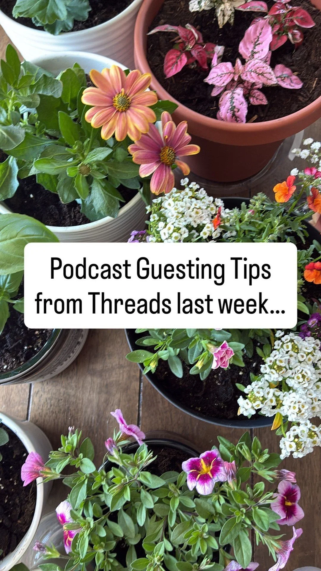 Sharing tips over on Threads and thought these deserved a spot on the feed. 

If you&rsquo;re a podcast host or guest you are welcome inside my podcast matchmaking community (free). 

Link in bio. 🌼