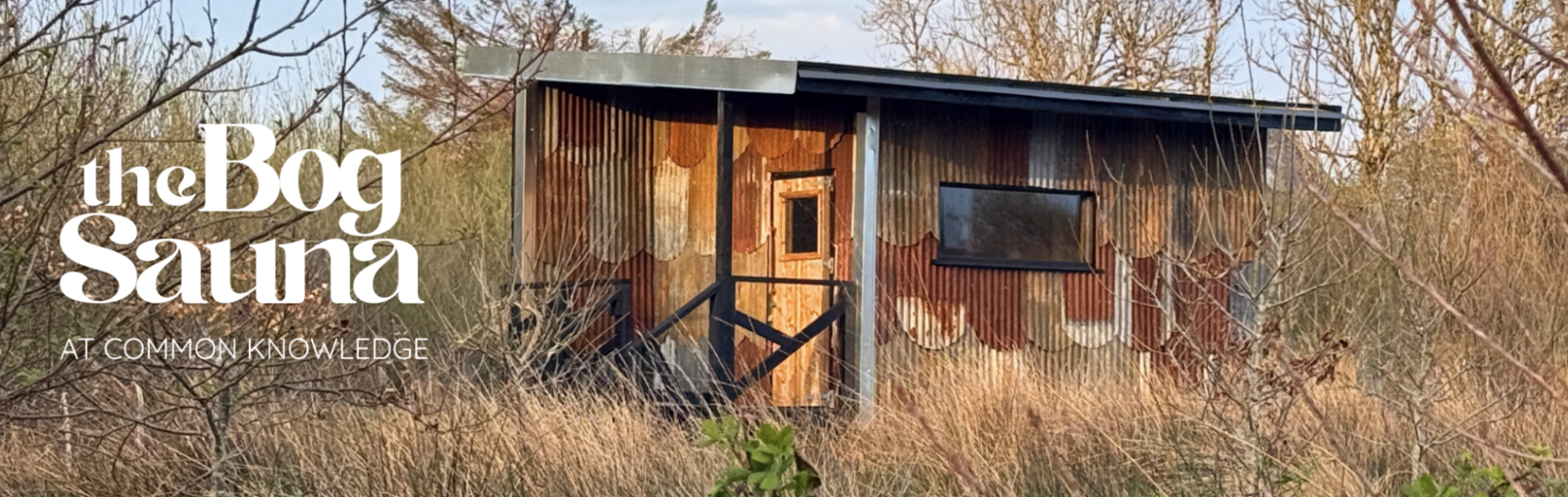 The Bog Sauna Launch Day with Free Foraging Experience